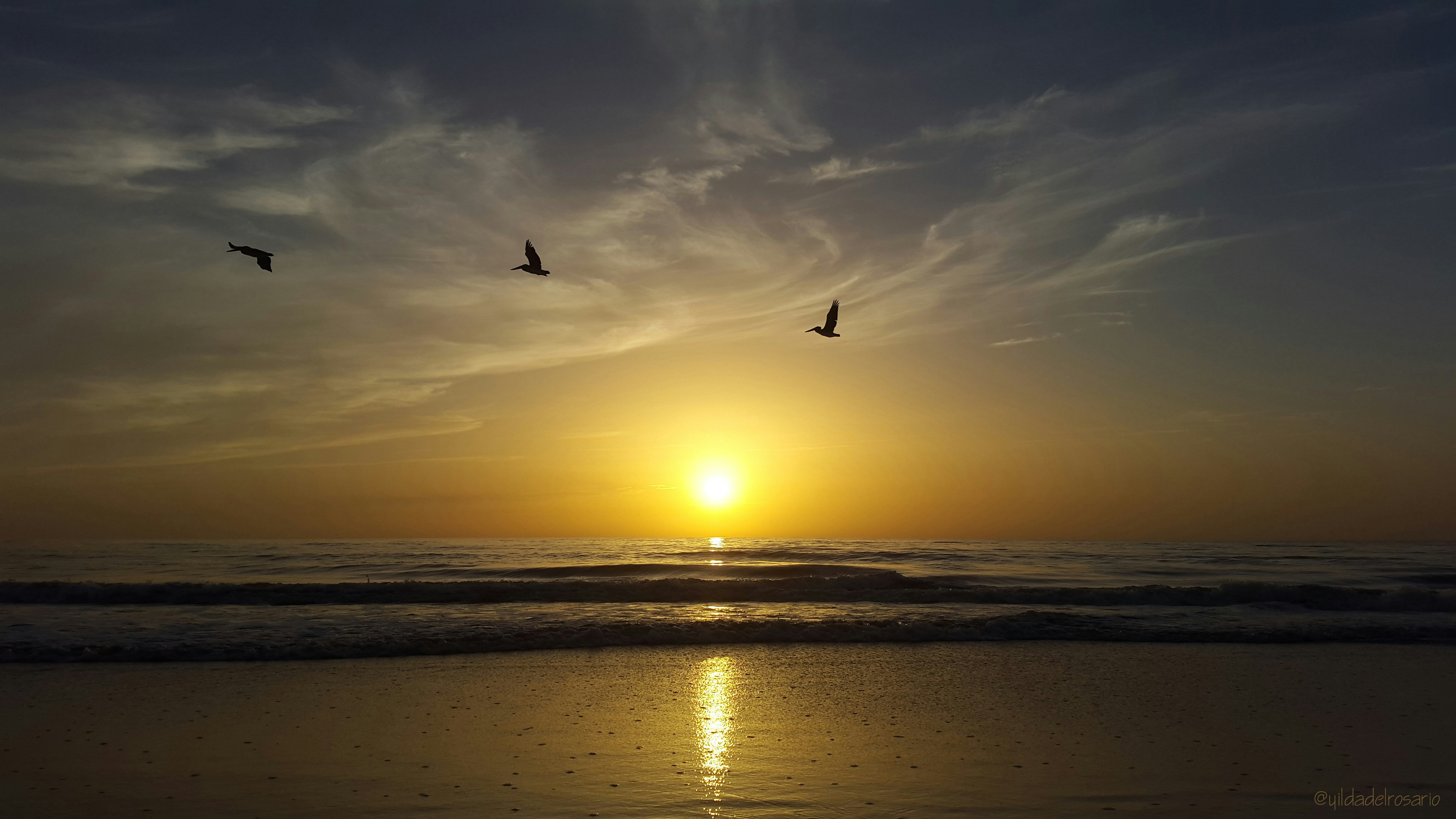 Free Unsplash photo from Yilda Del Rosario Rodriguez