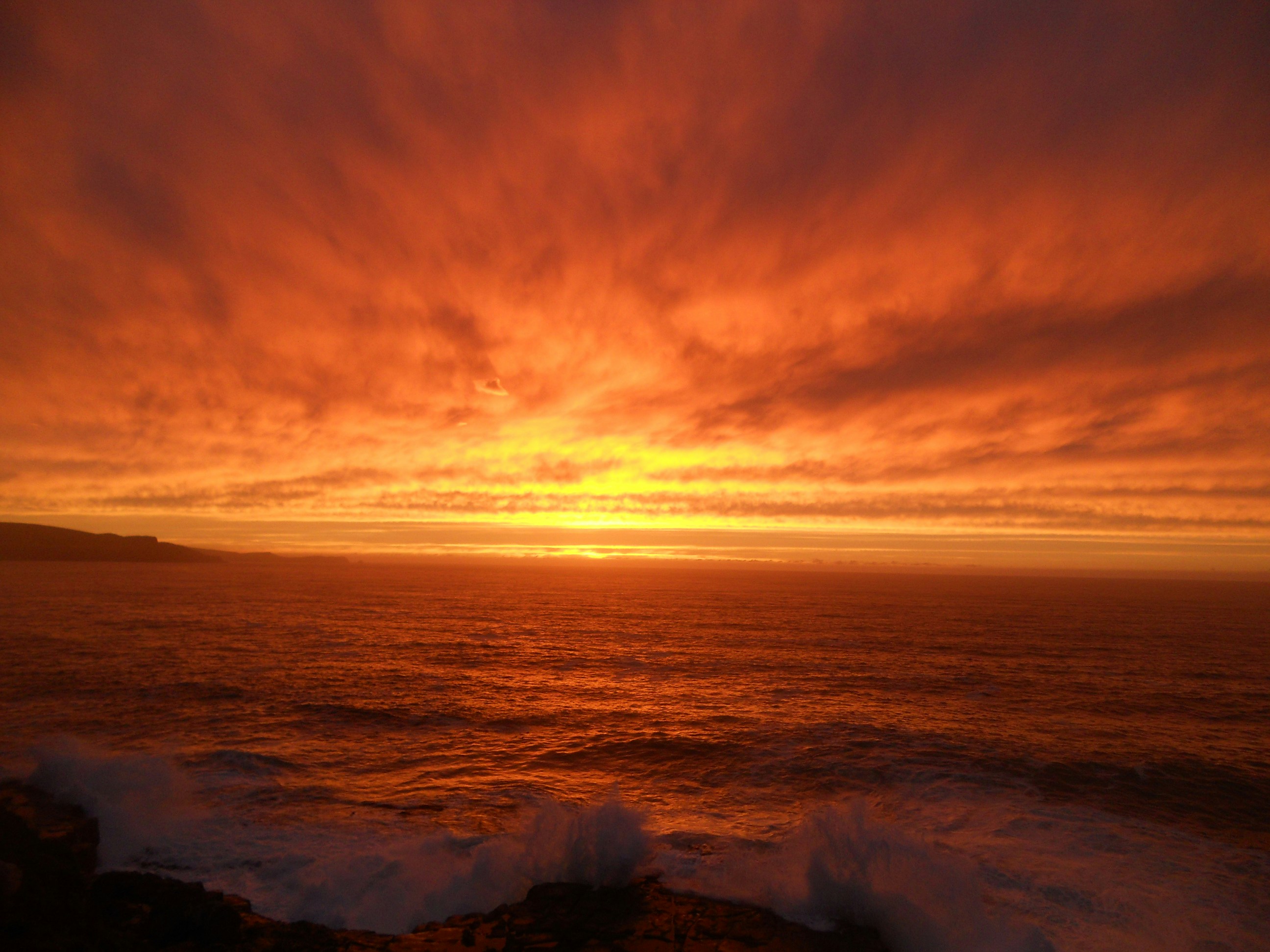 Free Unsplash photo from Oz Ben-David