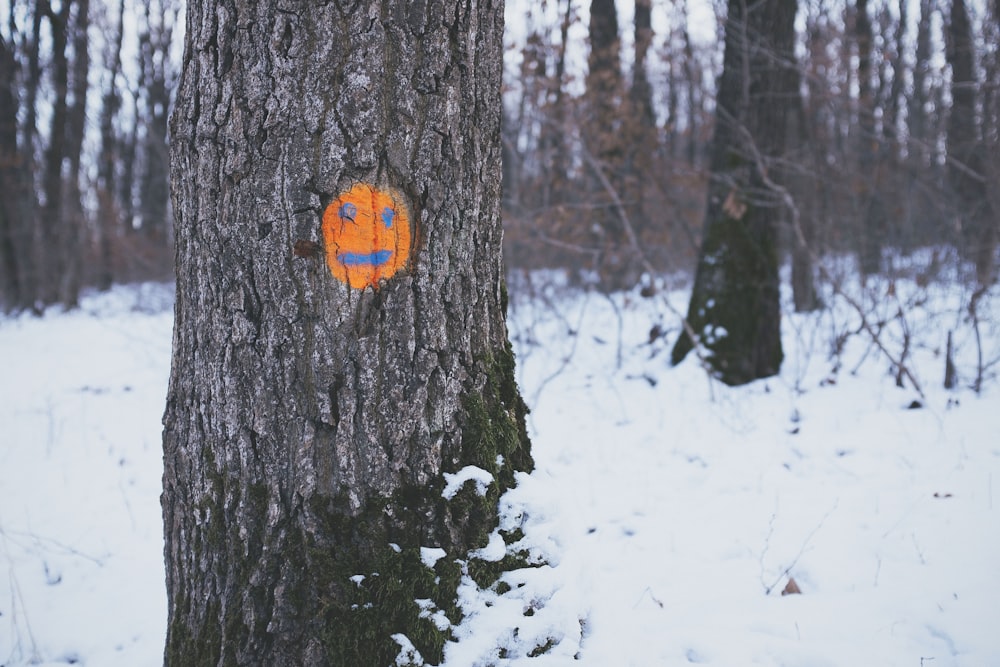 brown tree with orange emoticon during daytime