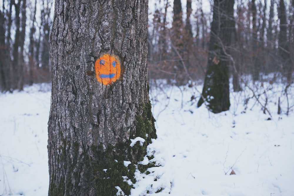 Brauner Baum mit orangefarbenem Emoticon während des Tages