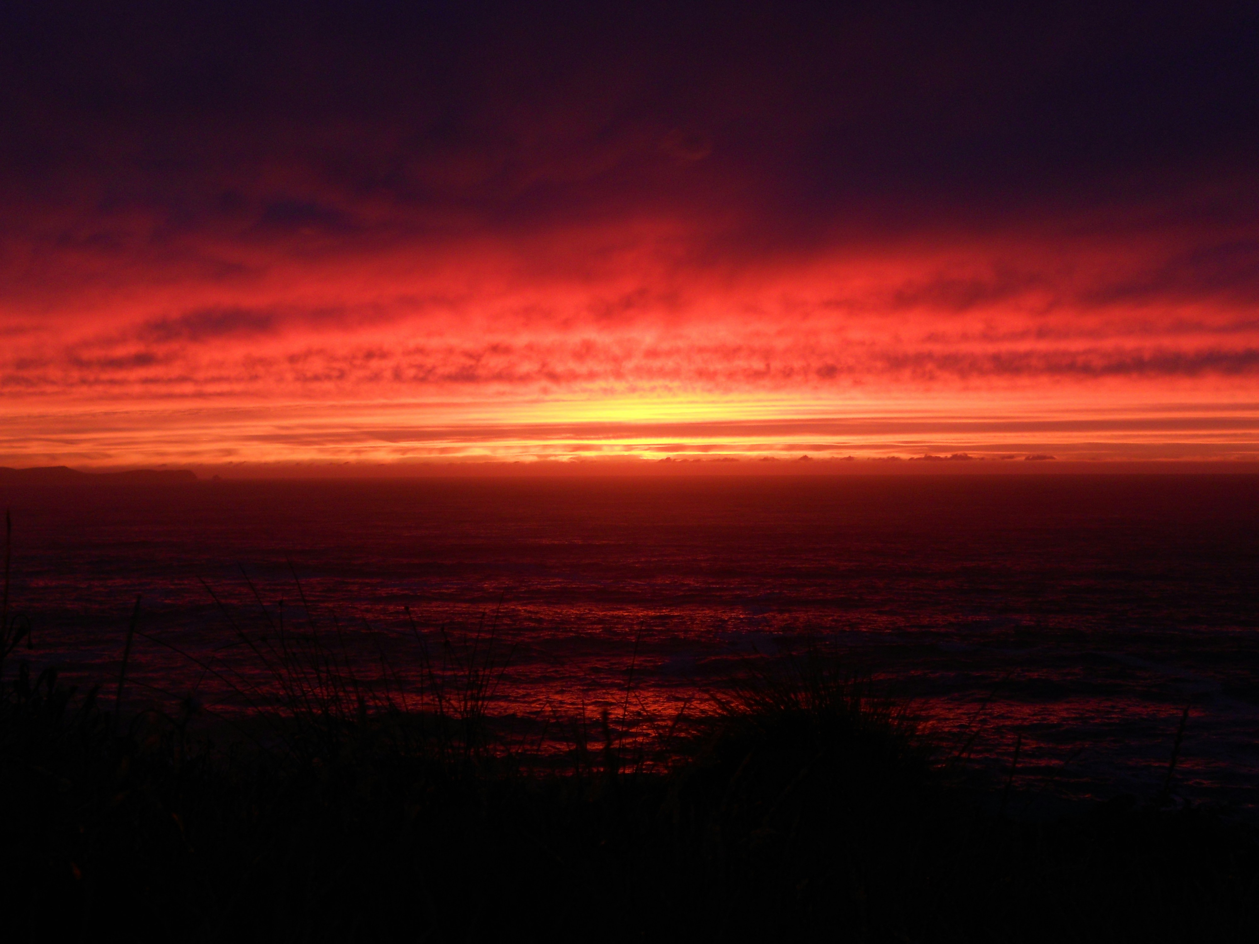 Free Unsplash photo from Oz Ben-David