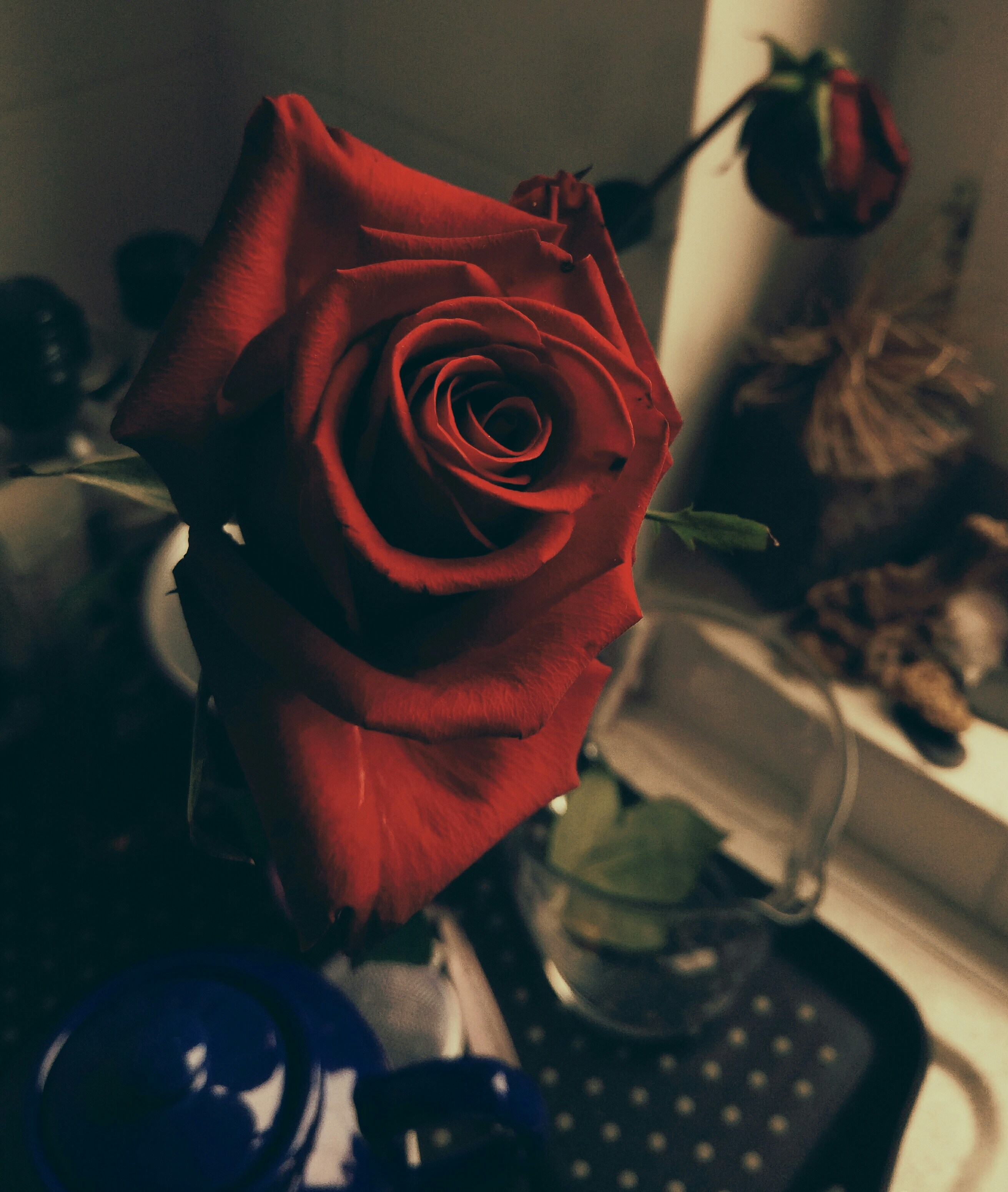 Free Unsplash photo from Tristan Laurent