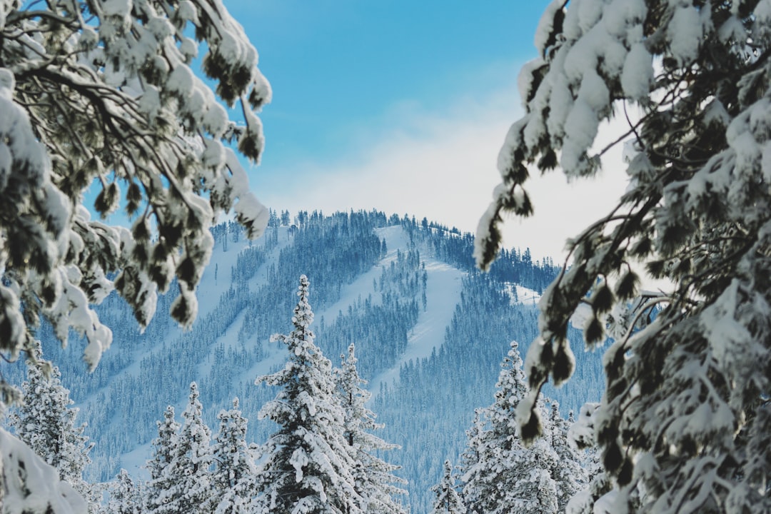 Hill station photo spot Schaffer Mill Road Donner Lake