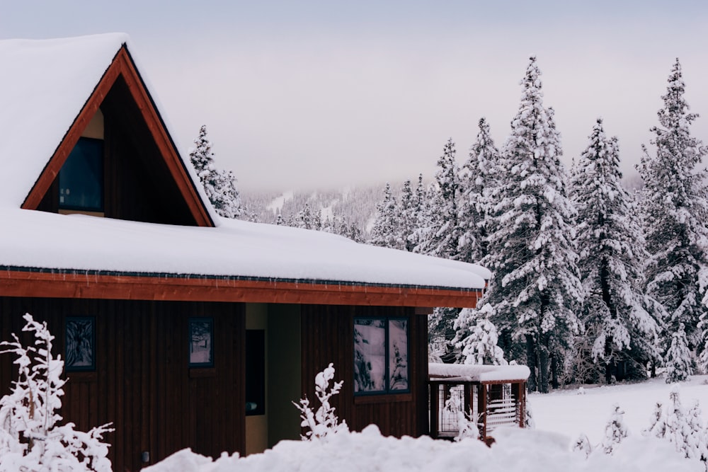 snow-covered house beside tree during daytime