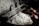 A pair of hands is working with a tool to unravel silk threads from white silkworm cocoons placed in steaming hot water. The industrial setup seems rustic, highlighting the traditional method of silk production.