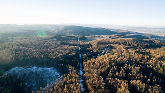 aerial photo of forest under white clouds in Sopron Hungary