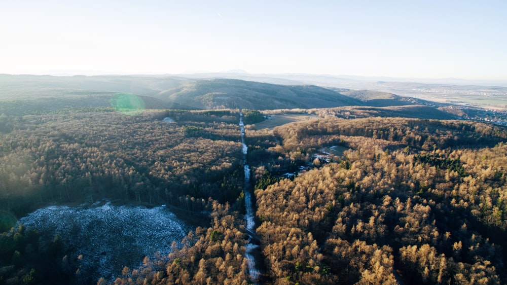 aerial photo of forest under white clouds