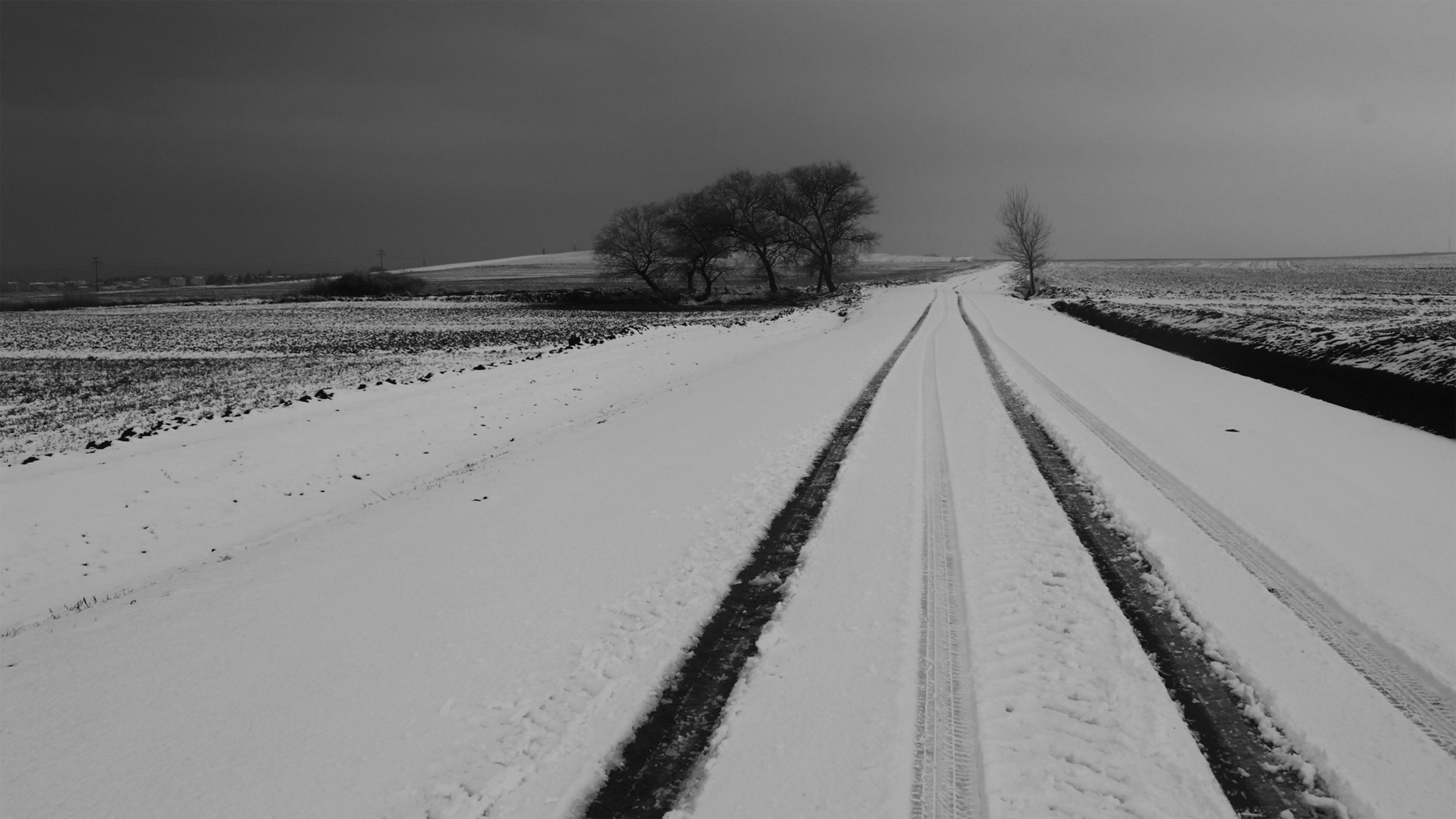 Free Unsplash photo from meriç tuna