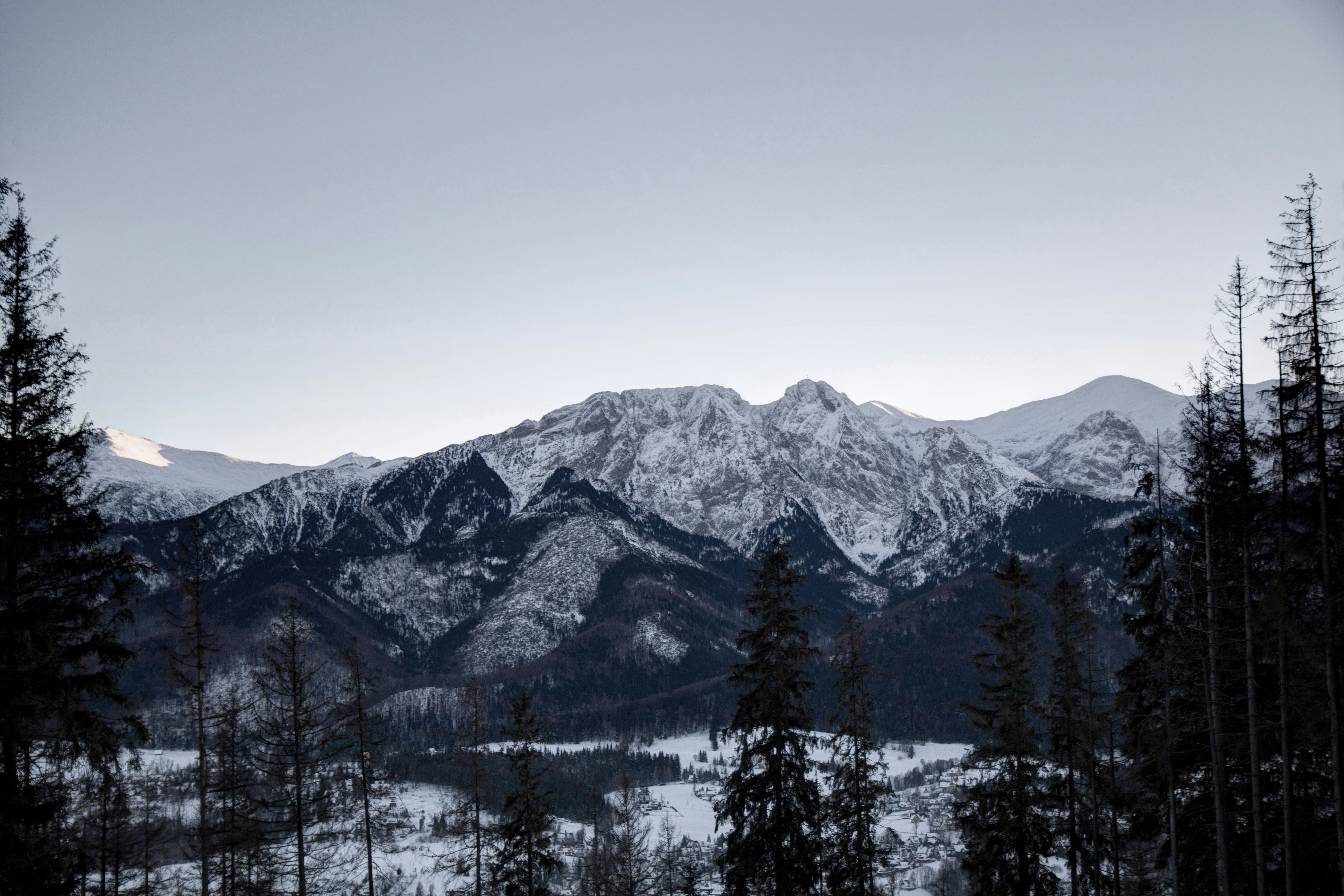 Free Unsplash photo from Conrad