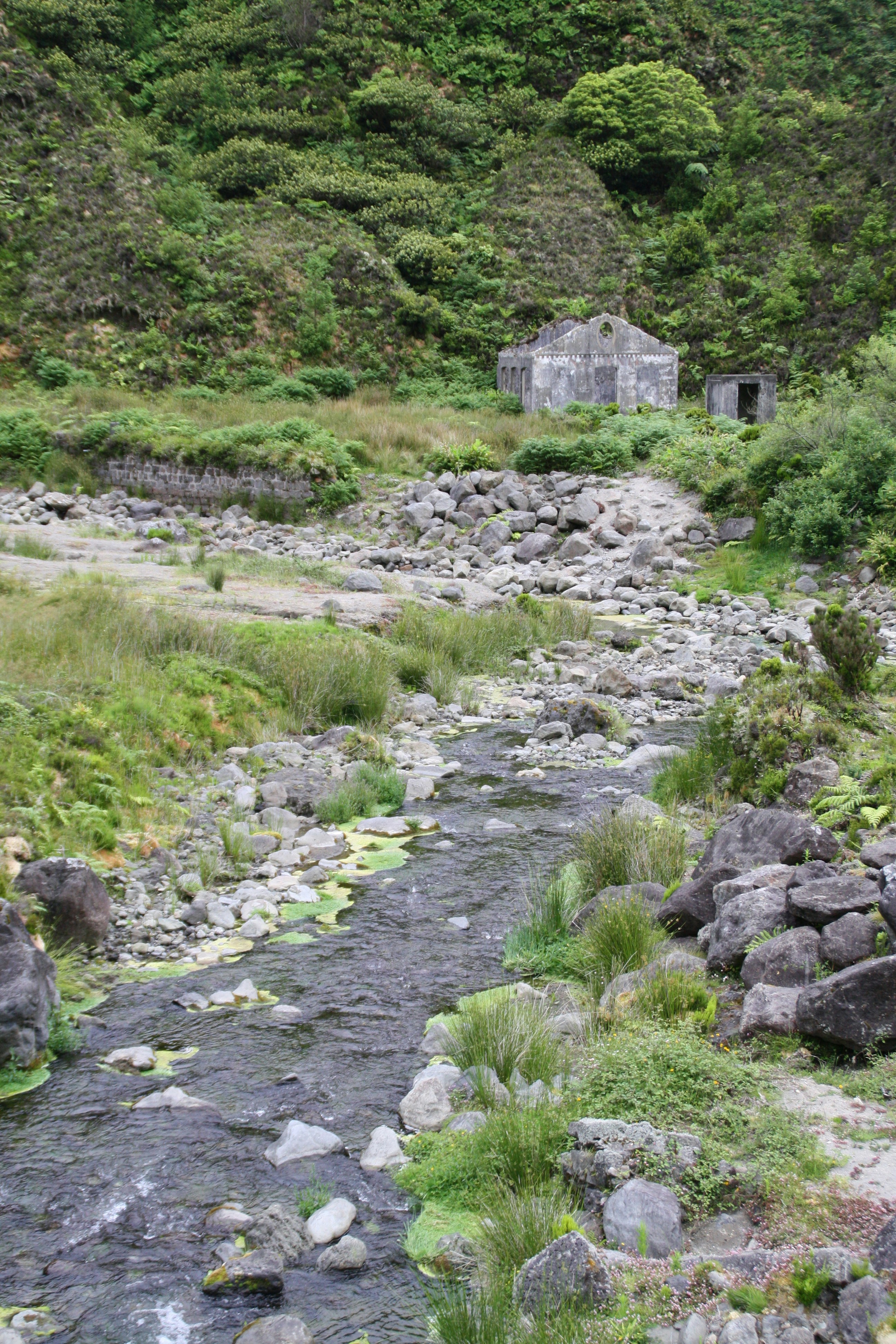 Free Unsplash photo from Vega Piera