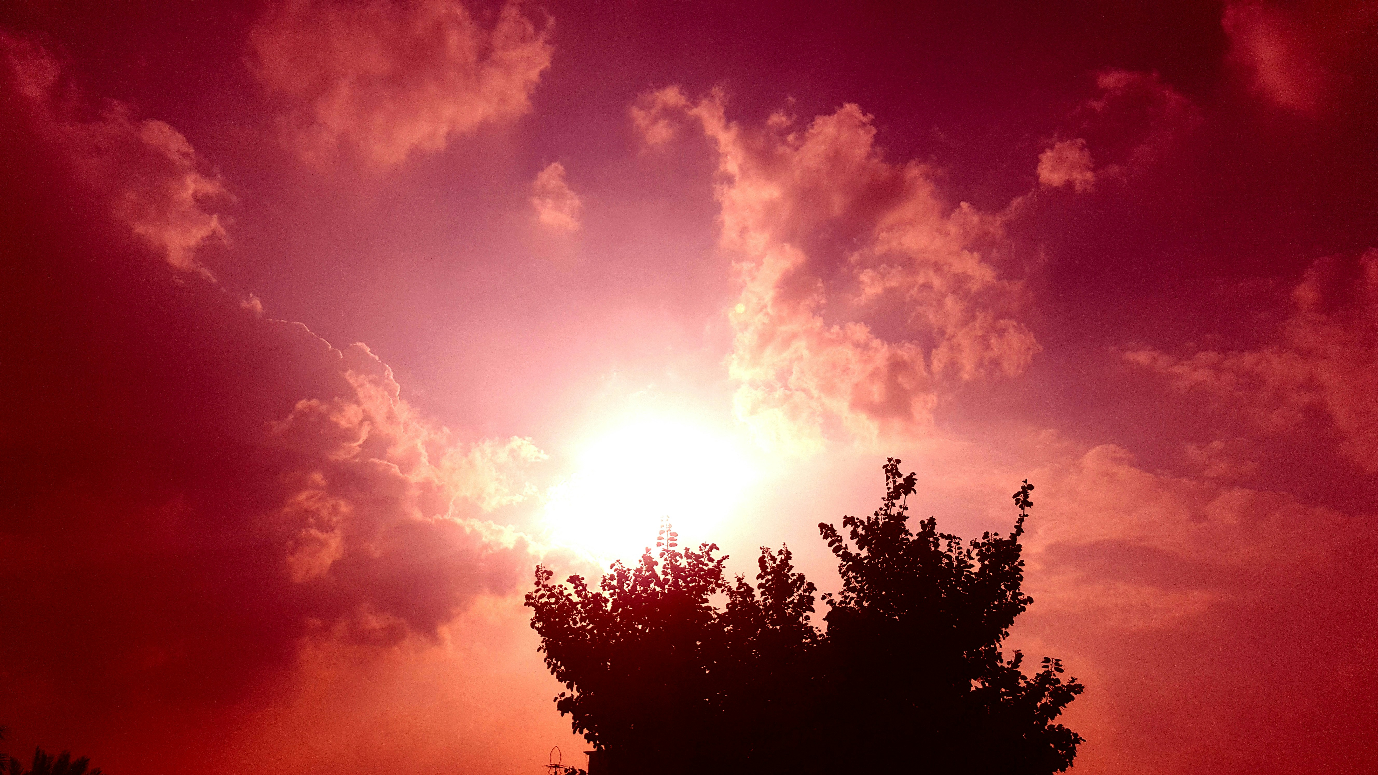 Free Unsplash photo from Muhammad Bilal