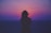 silhouette of a woman with pink and purple sky
