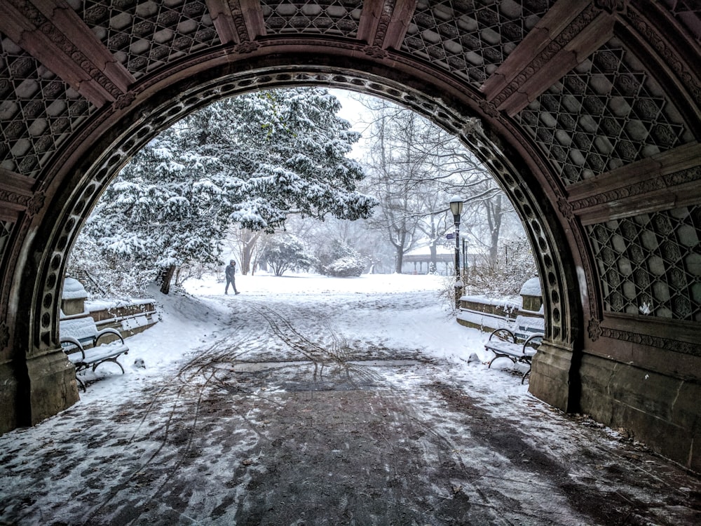 Free Prospect Lefferts Gardens Image On Unsplash