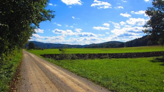 Charming countryside land with green fields and a dirt road