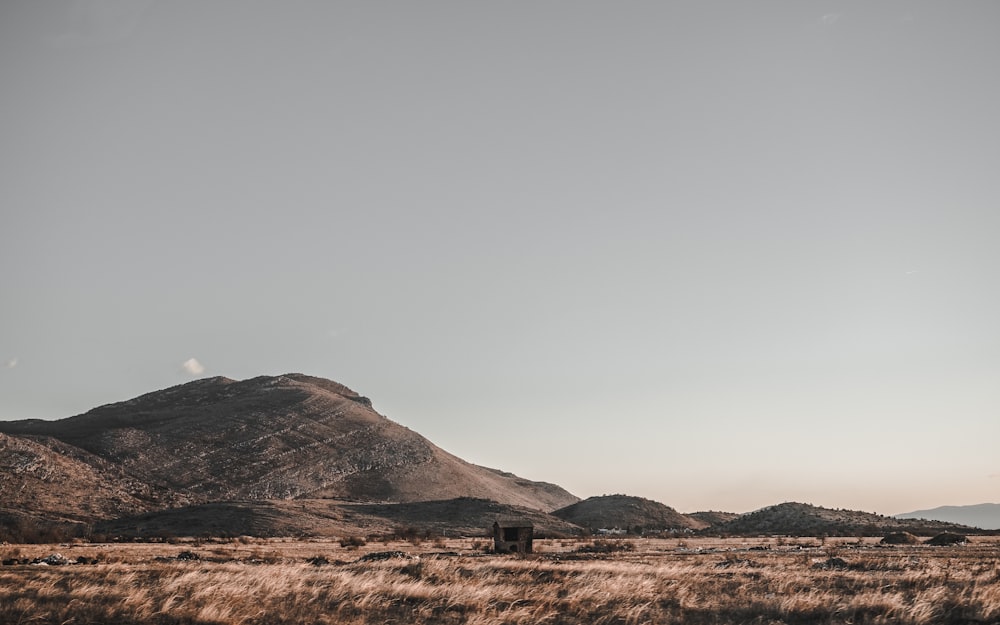 black and brown house in the middle of brown grass field at daytime