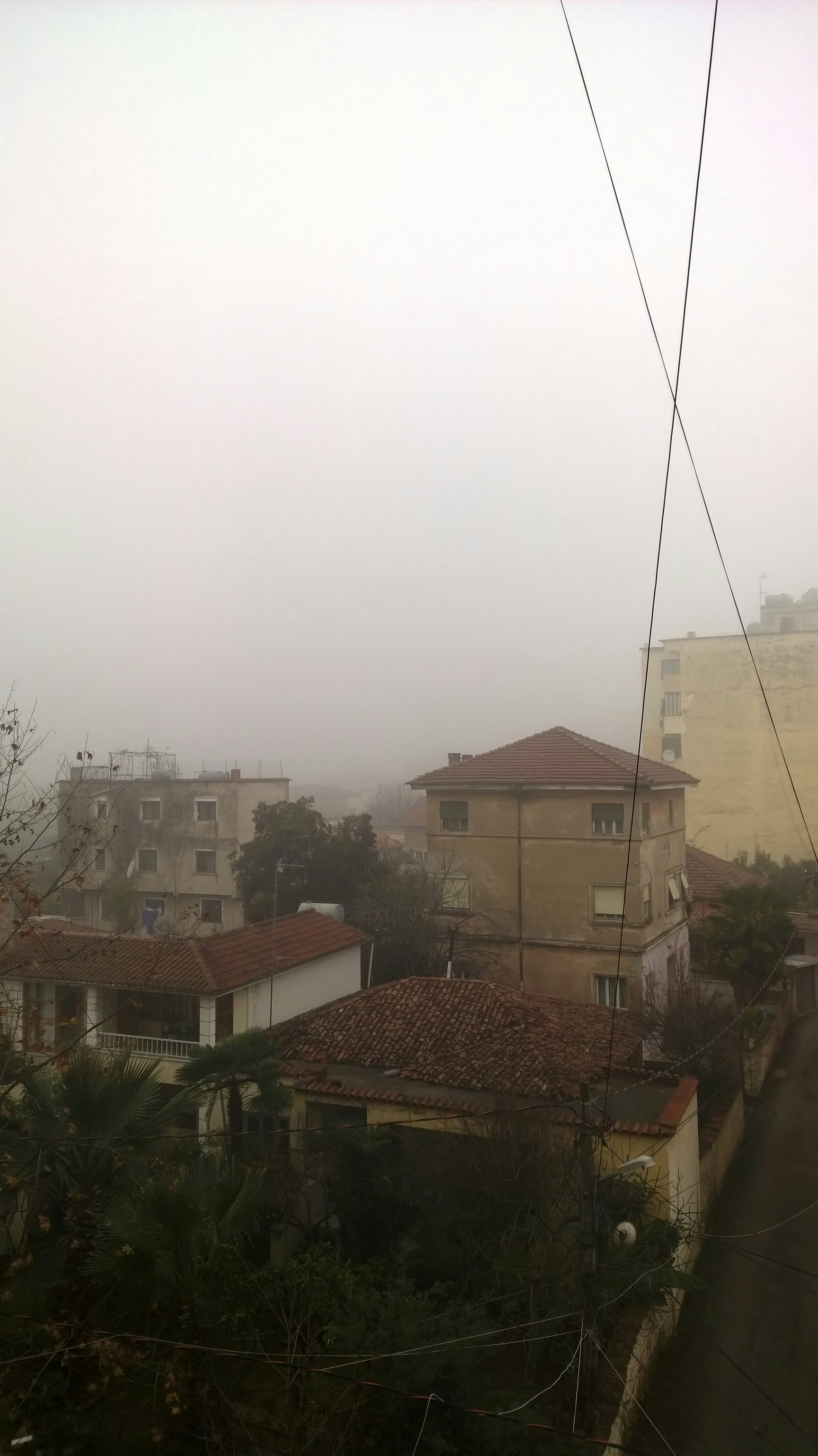 Free Unsplash photo from Ardit Z