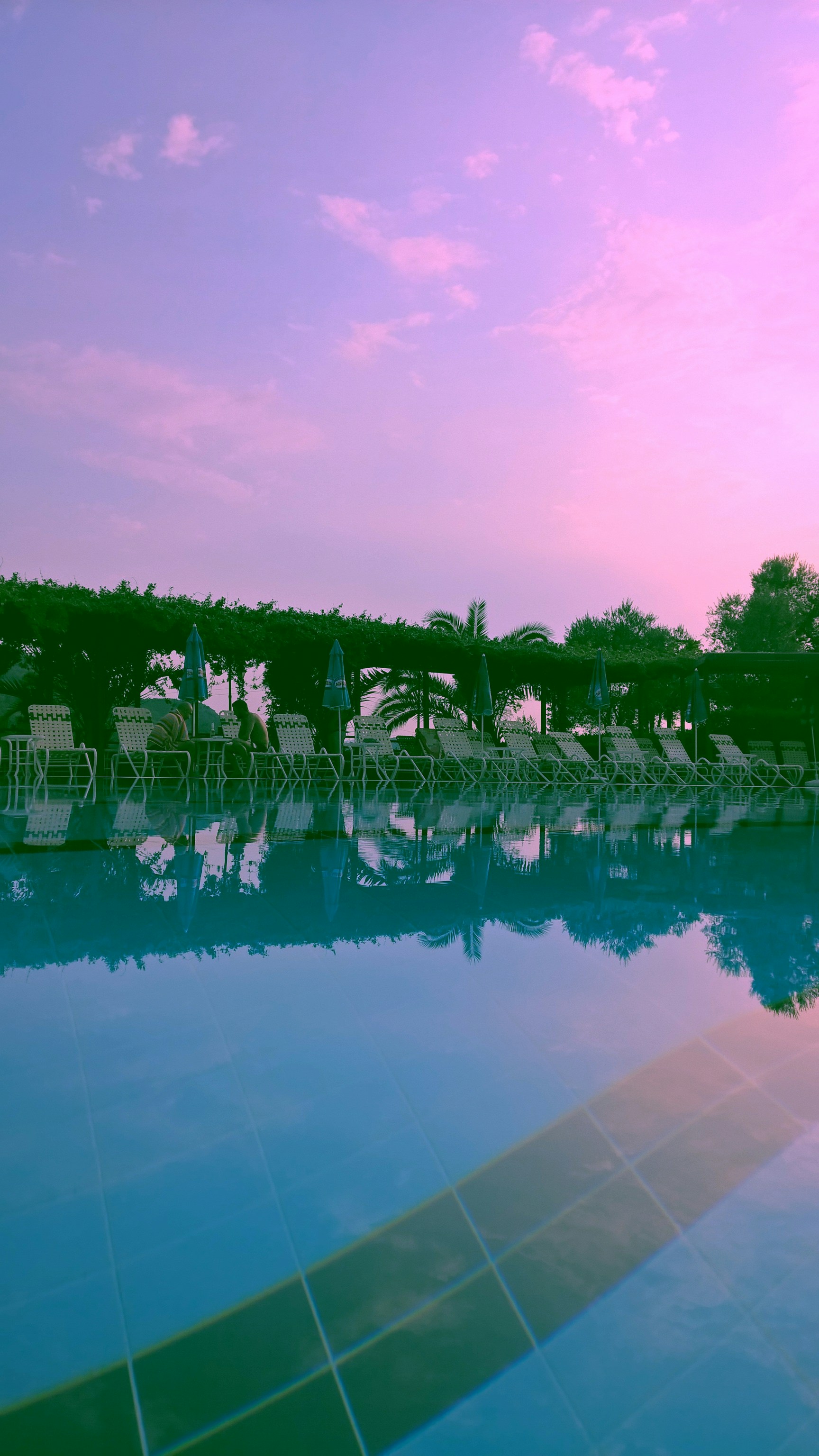 Free Unsplash photo from Ardit Z