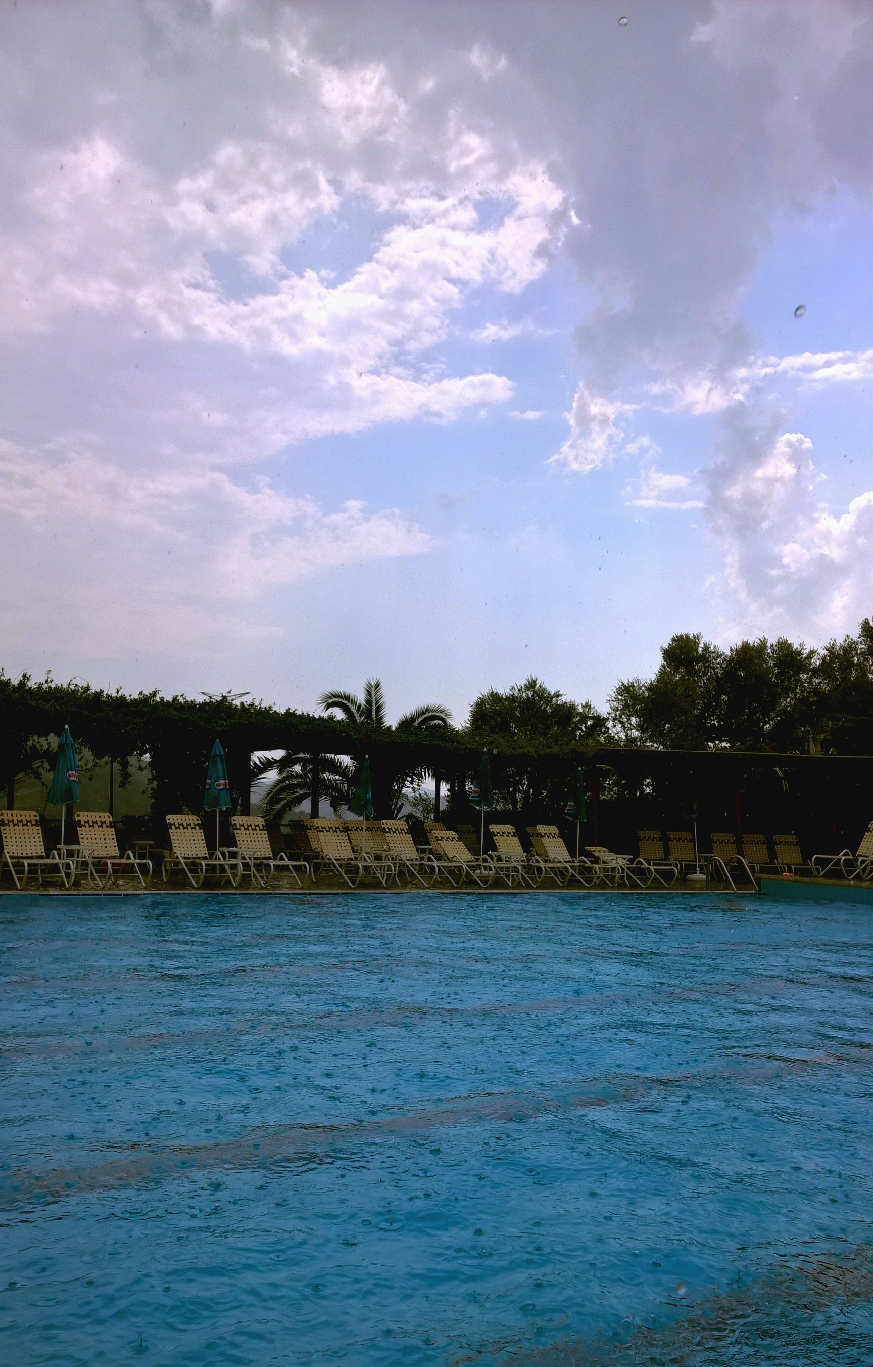 Free Unsplash photo from Ardit Z