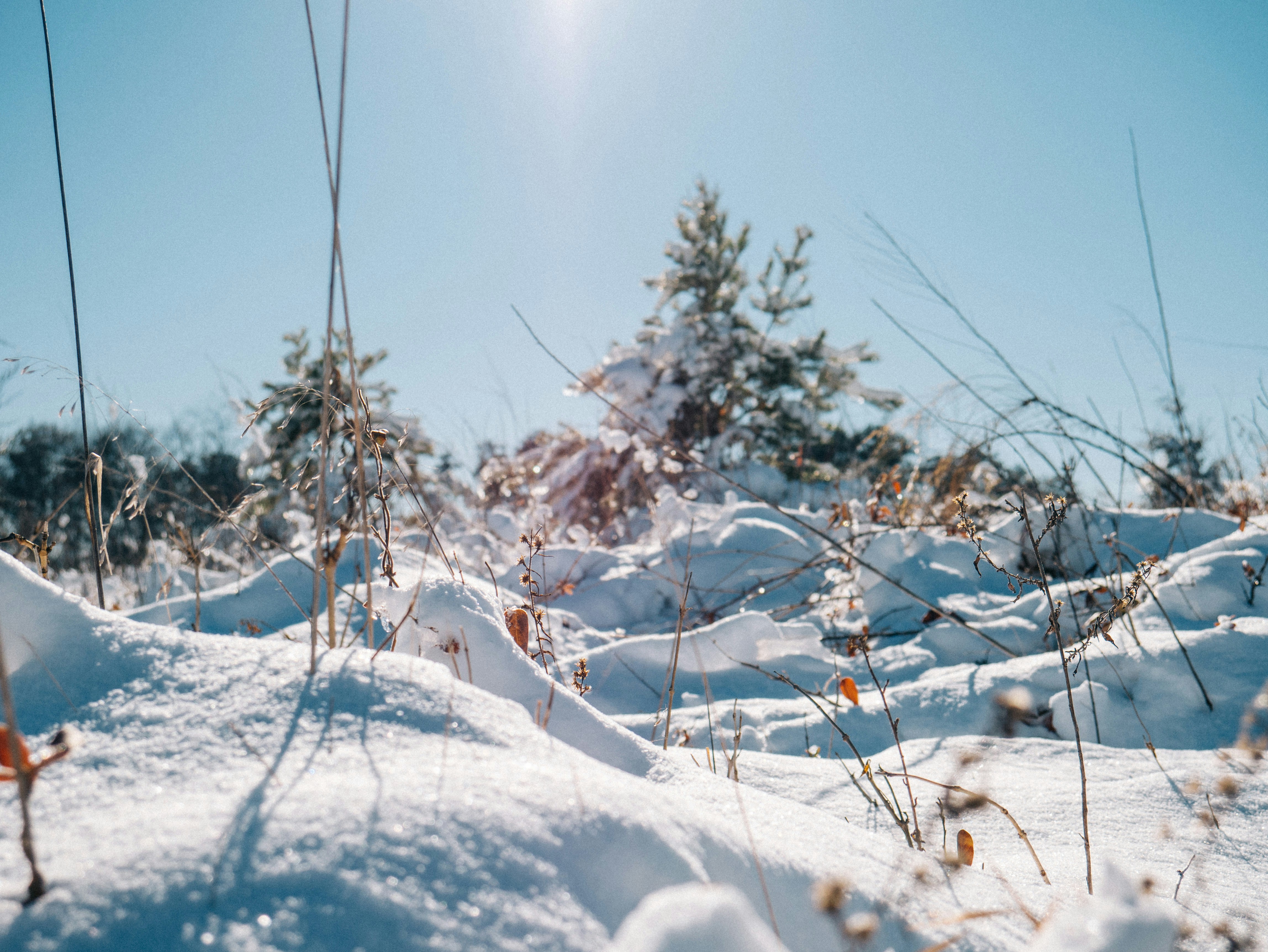 Free Unsplash photo from Harrison Kratzer