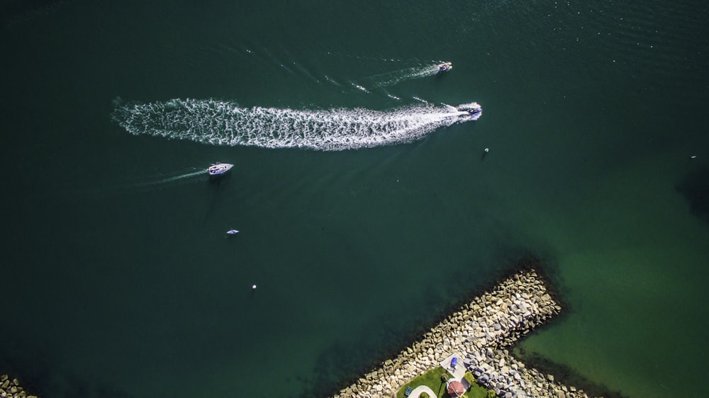 aerial view of speed boat cruising on body of water