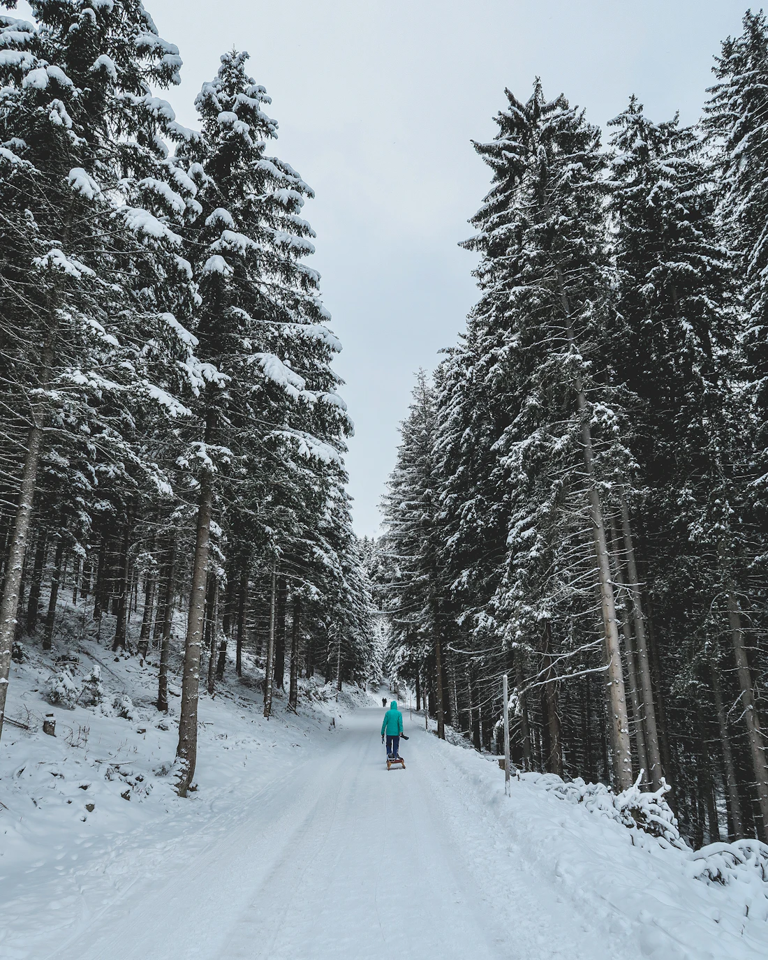 Wandelaar op een besneeuwd bospad in Tirol