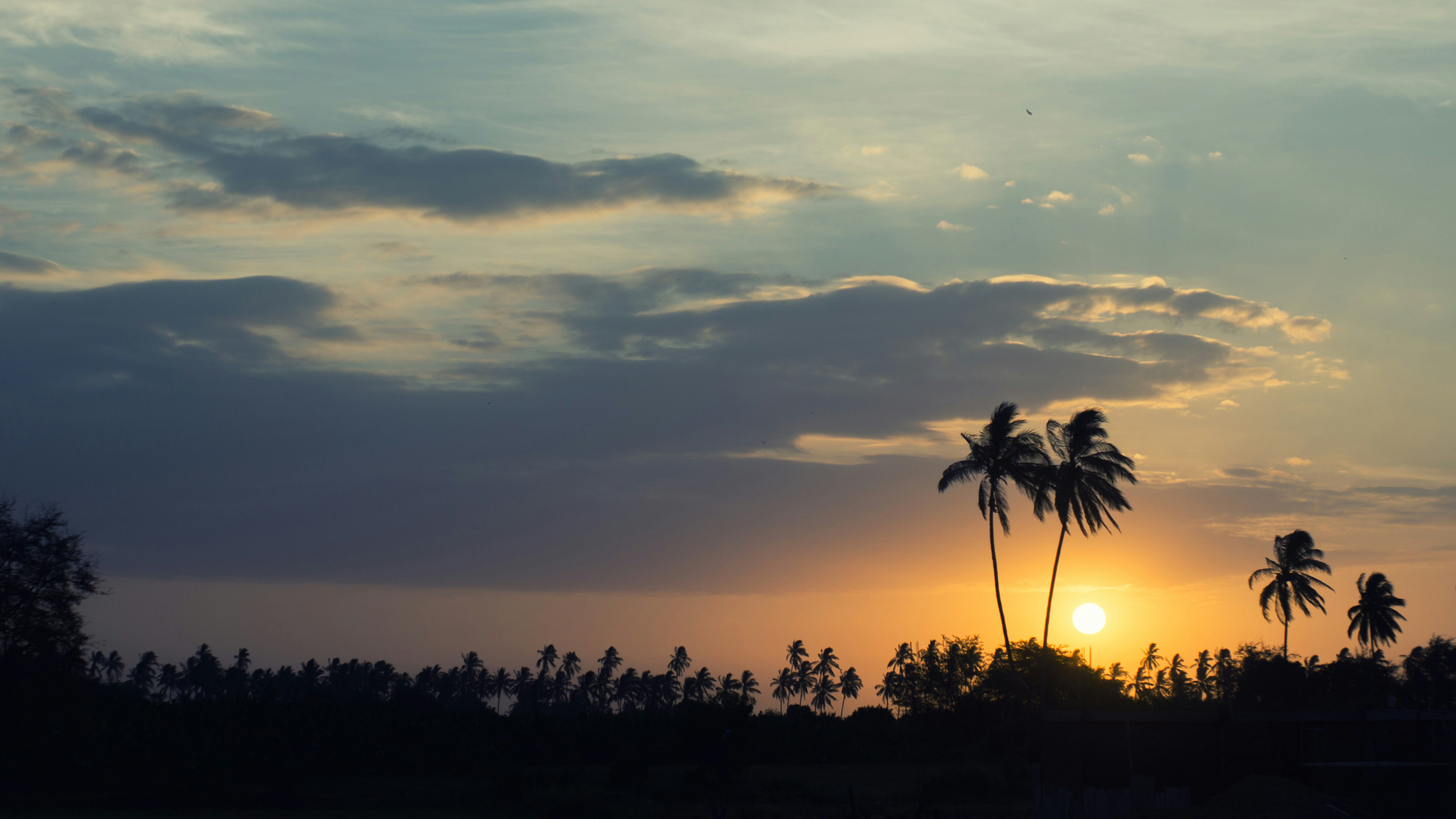 Free Unsplash photo from Javier Távara