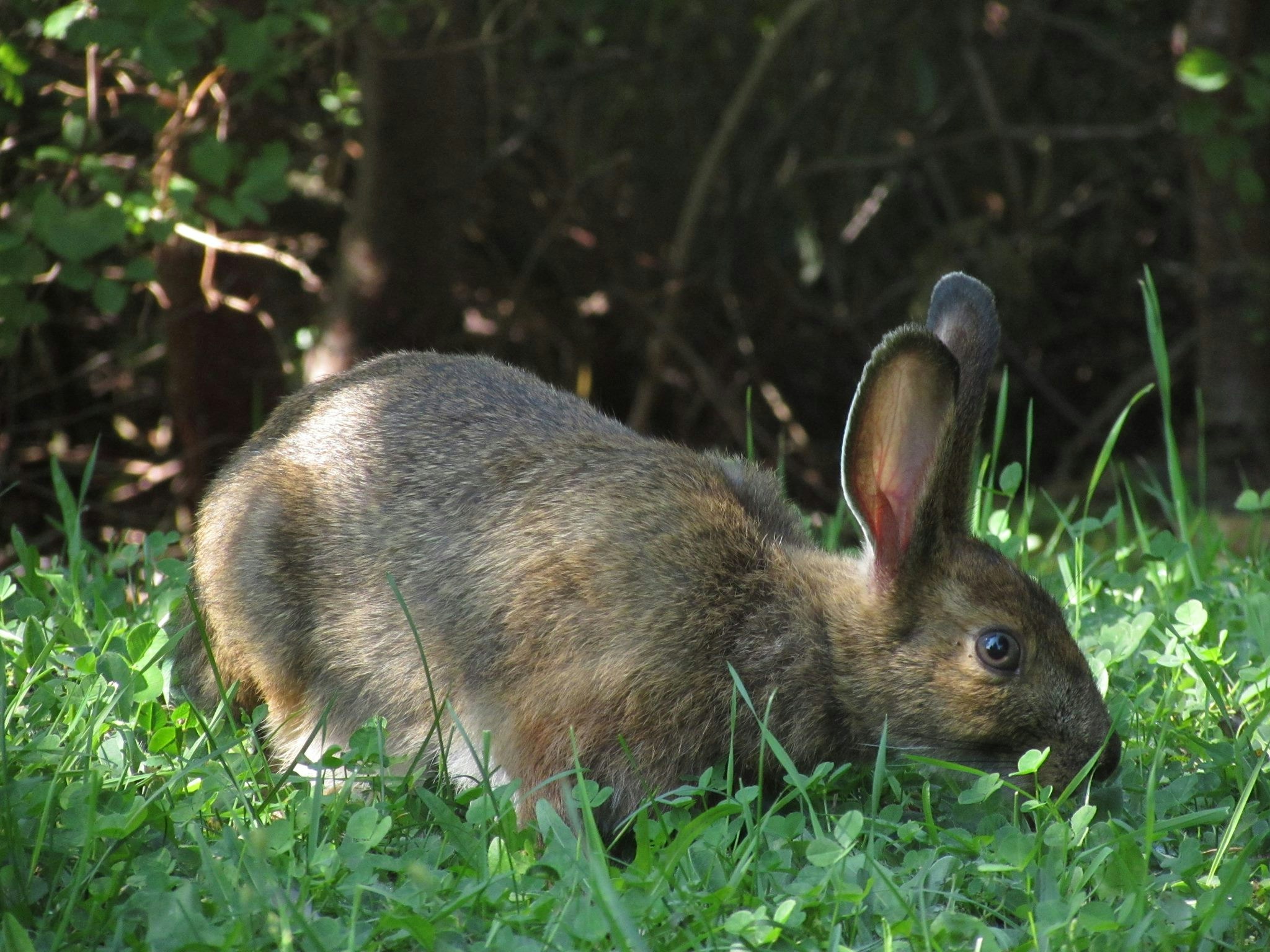 Free Unsplash photo from Lydia Bernard-Légaré