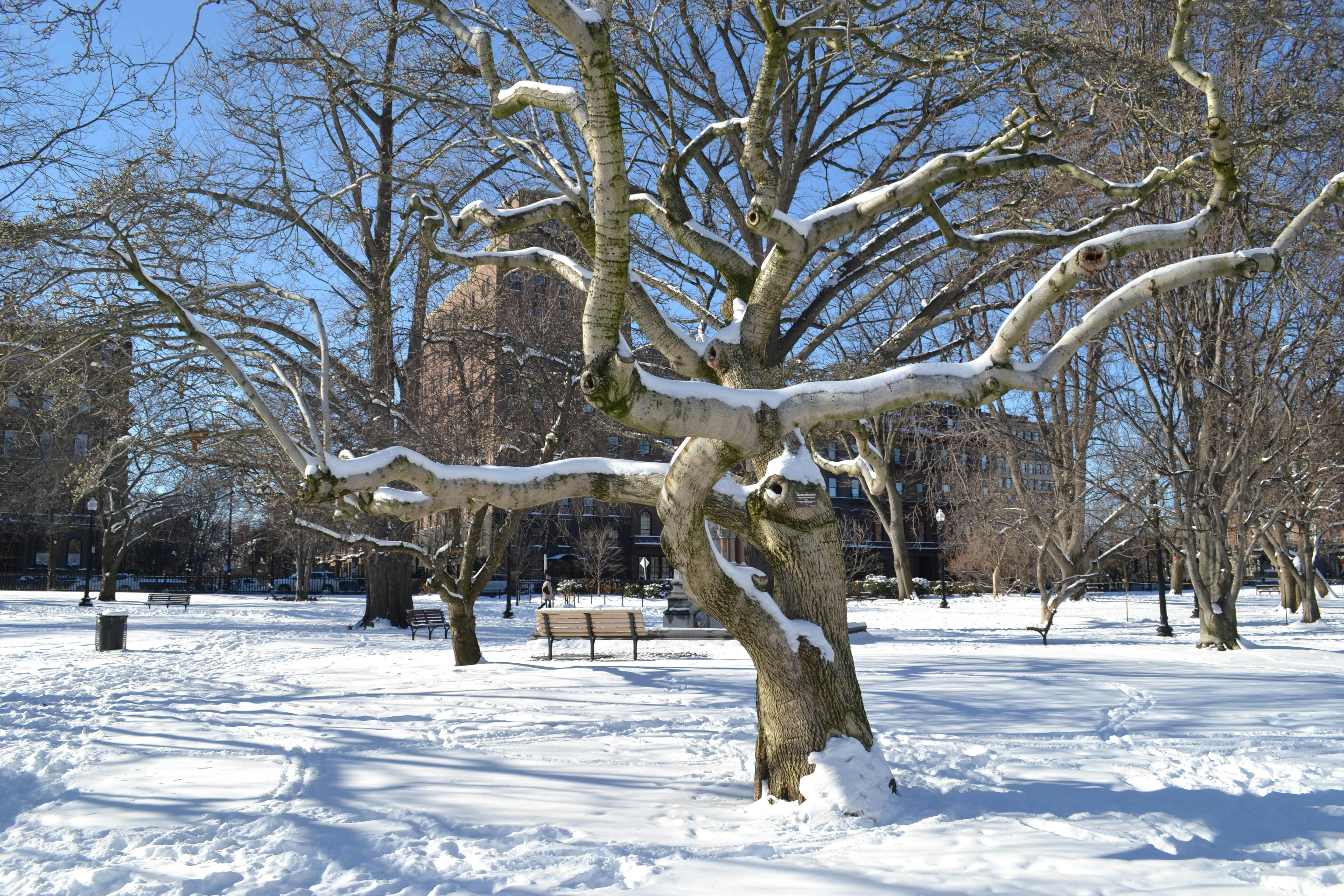 Free Unsplash photo from Bri Rinehart