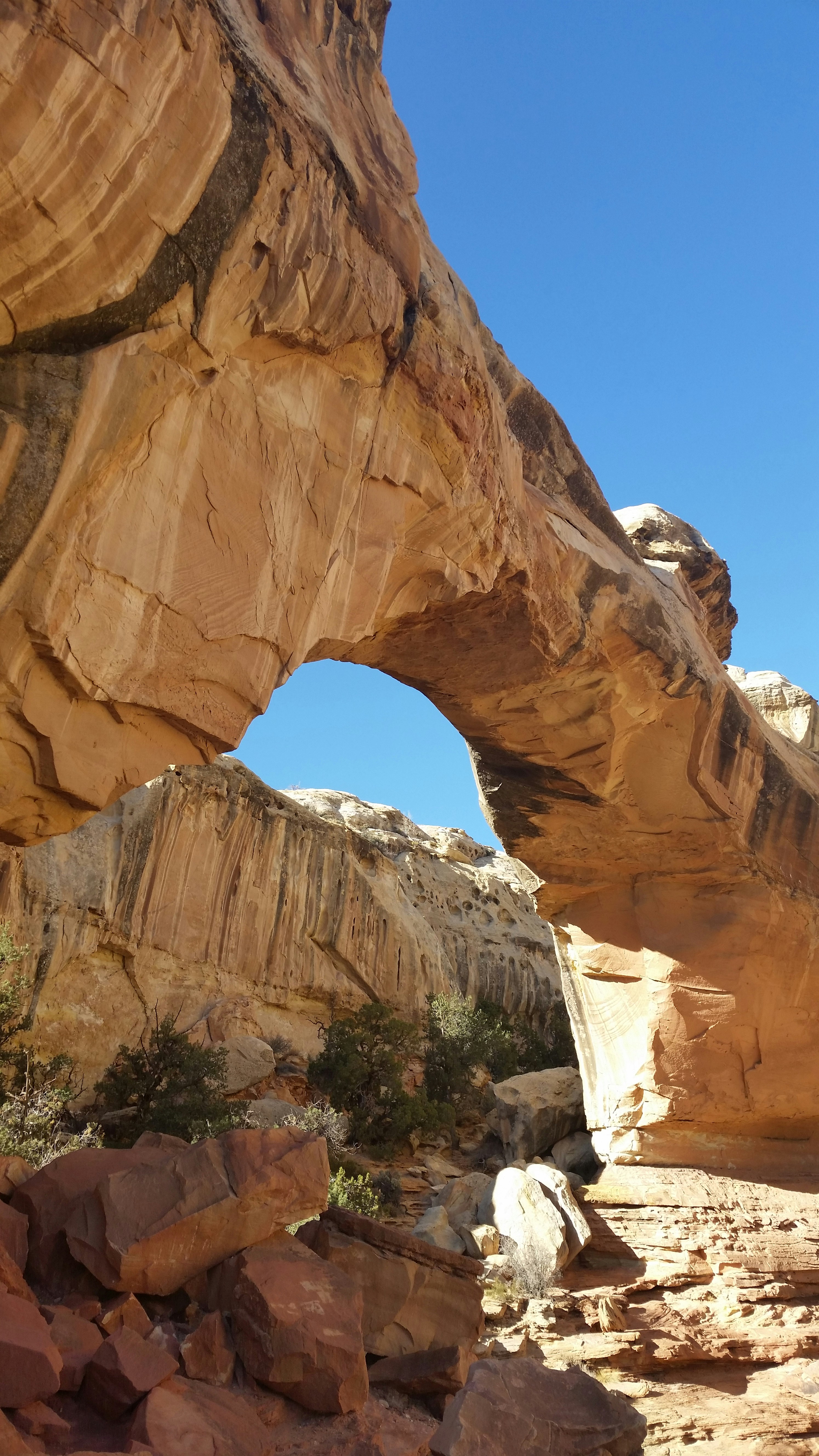 Free Unsplash photo from Sean  MacNaughton