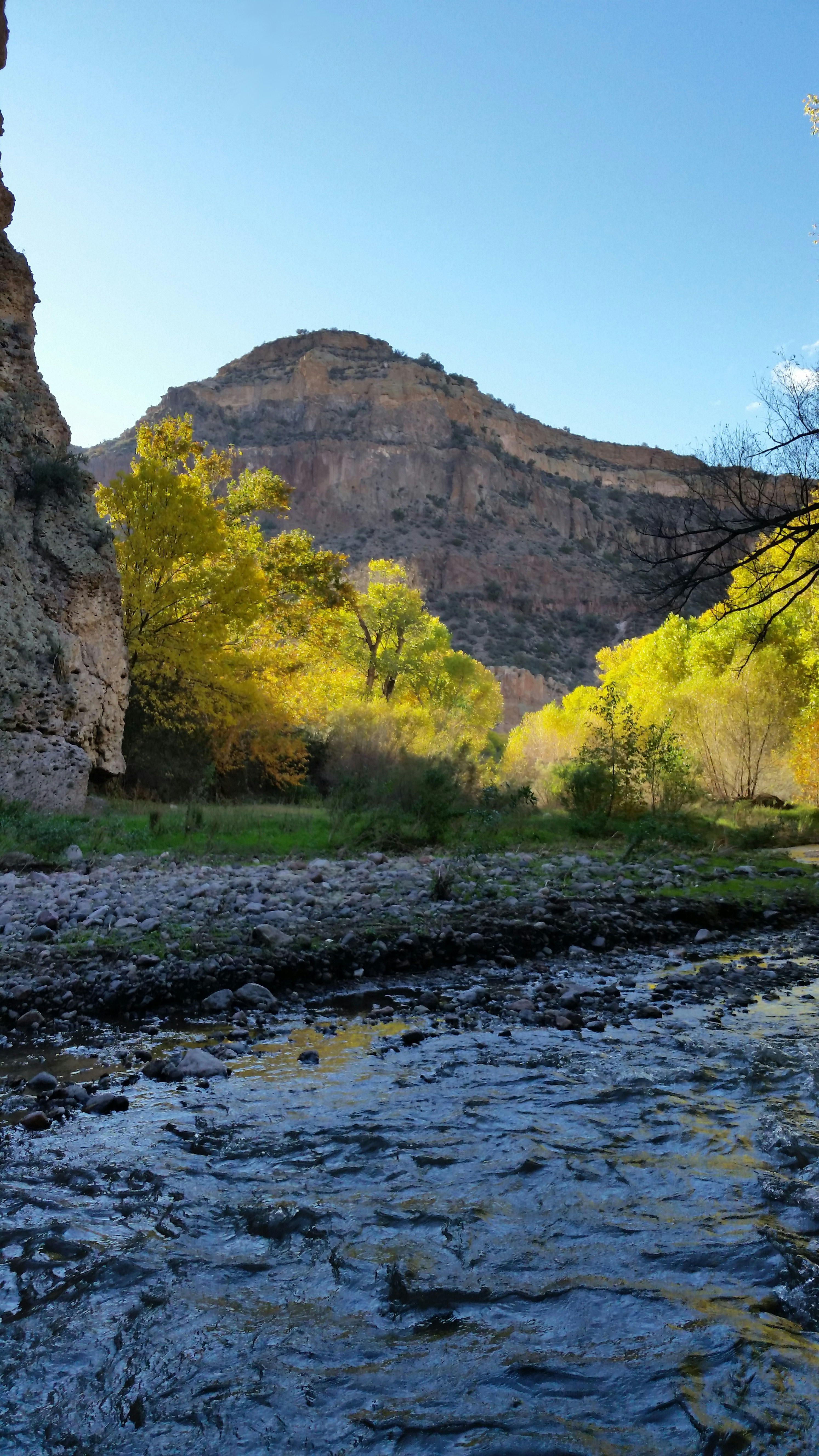 Free Unsplash photo from Sean  MacNaughton