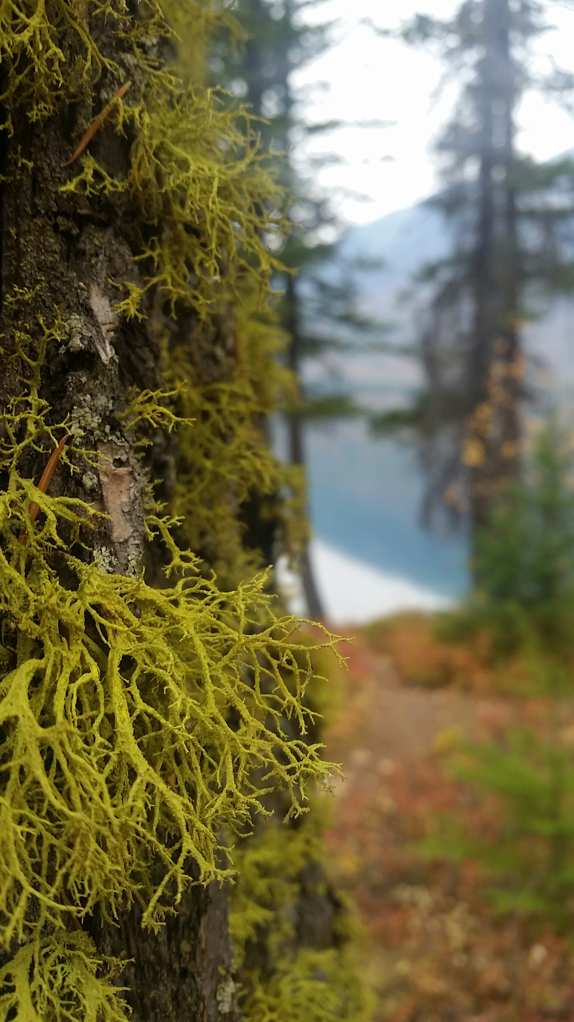 Free Unsplash photo from Sean  MacNaughton