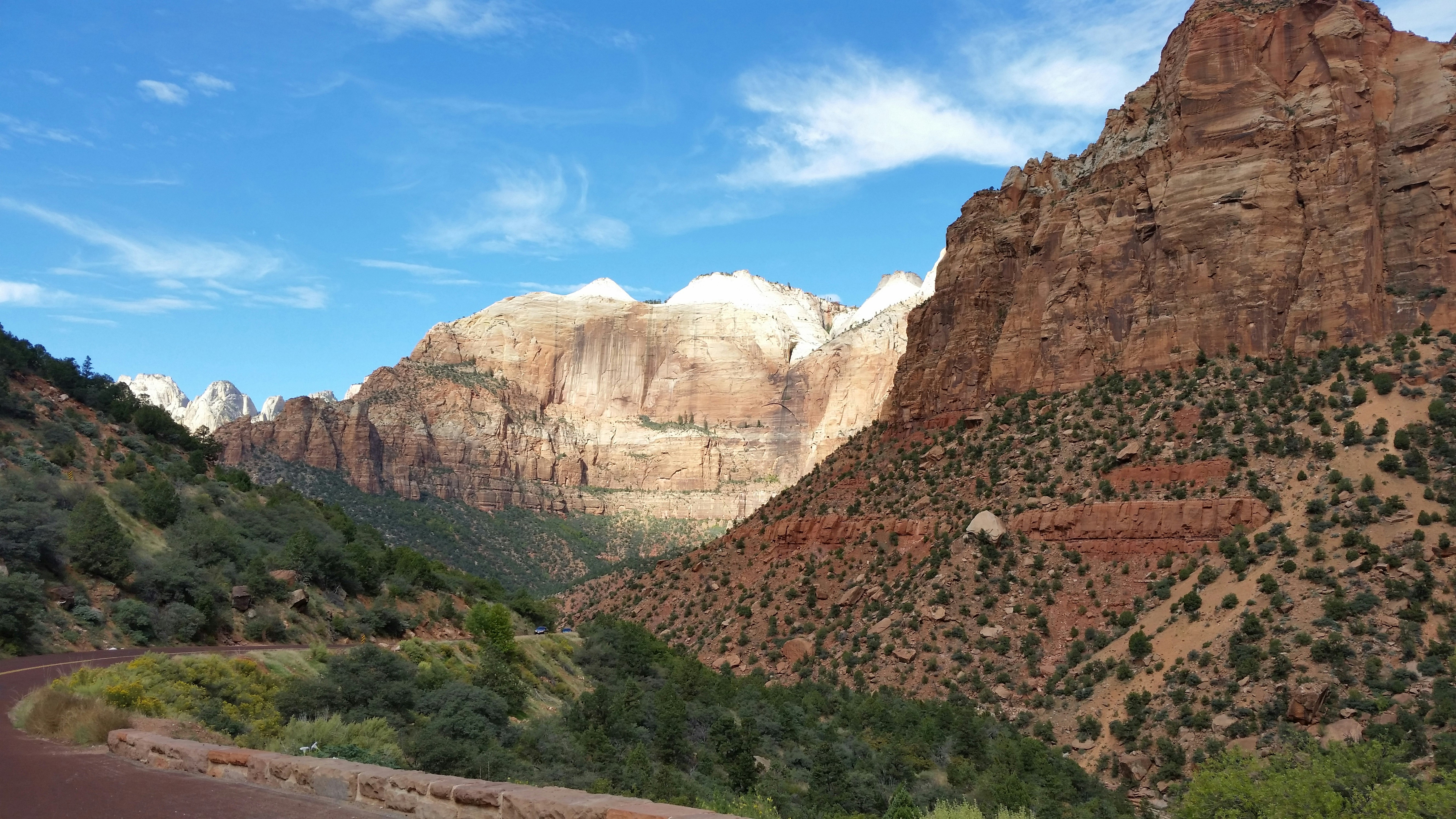 Free Unsplash photo from Sean  MacNaughton