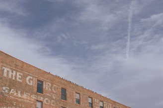 A brick building with faded white lettering on its side, featuring multiple rectangular windows and a group of birds perched along the roof edge. The sky above is mostly cloudy with a hint of blue.