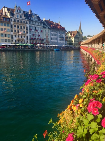 A scenic riverside view featuring historic European buildings with ornate facades, a Swiss flag on a rooftop, and a spire in the background. The foreground includes a vibrant display of red and pink flowers along a wooden walkway. A blue sky and calm, reflective water add to the tranquil setting.