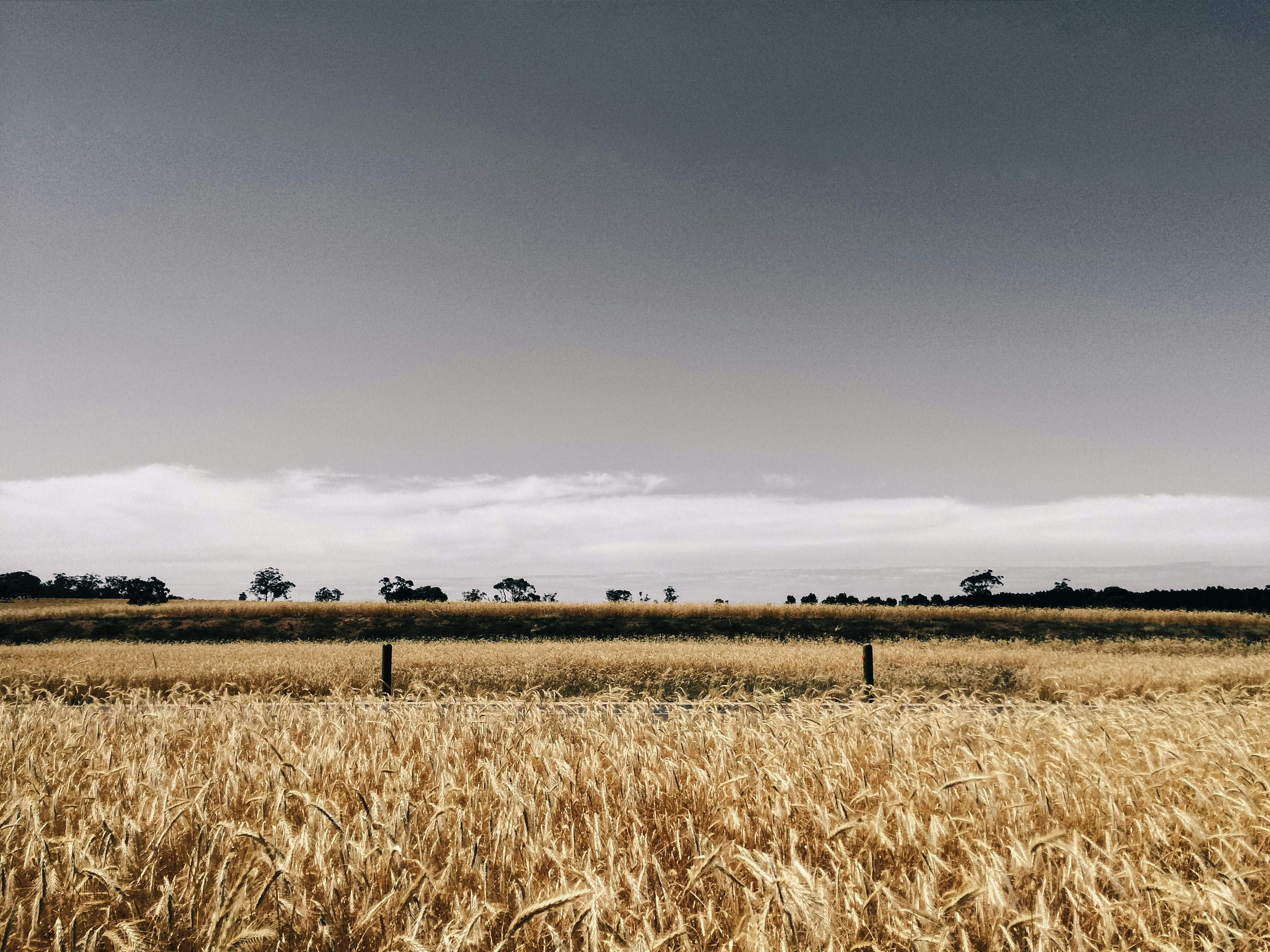 Free Unsplash photo from Christian Veloso