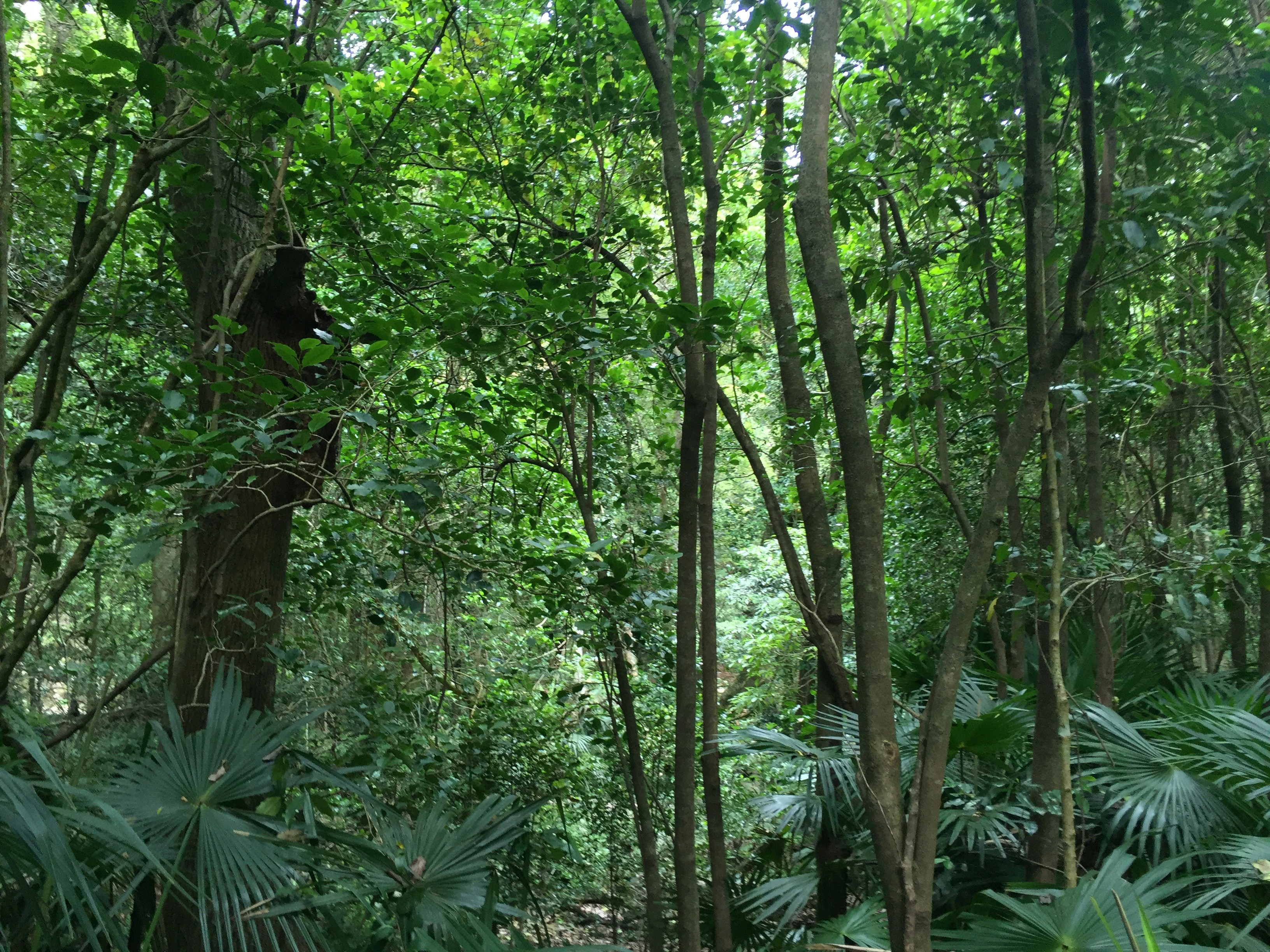 Free Unsplash photo from Aria H