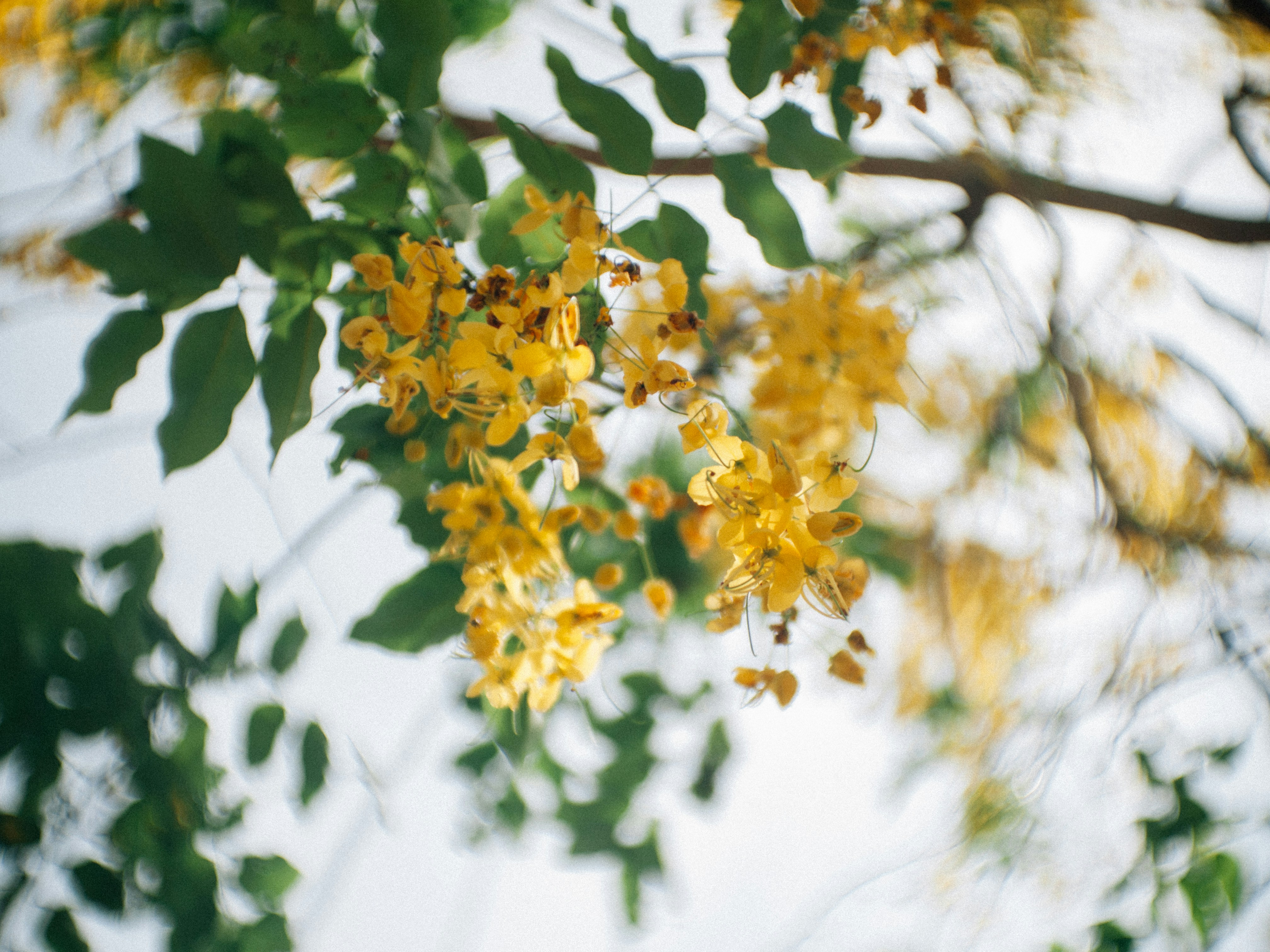 Free Unsplash photo from MLight Wang