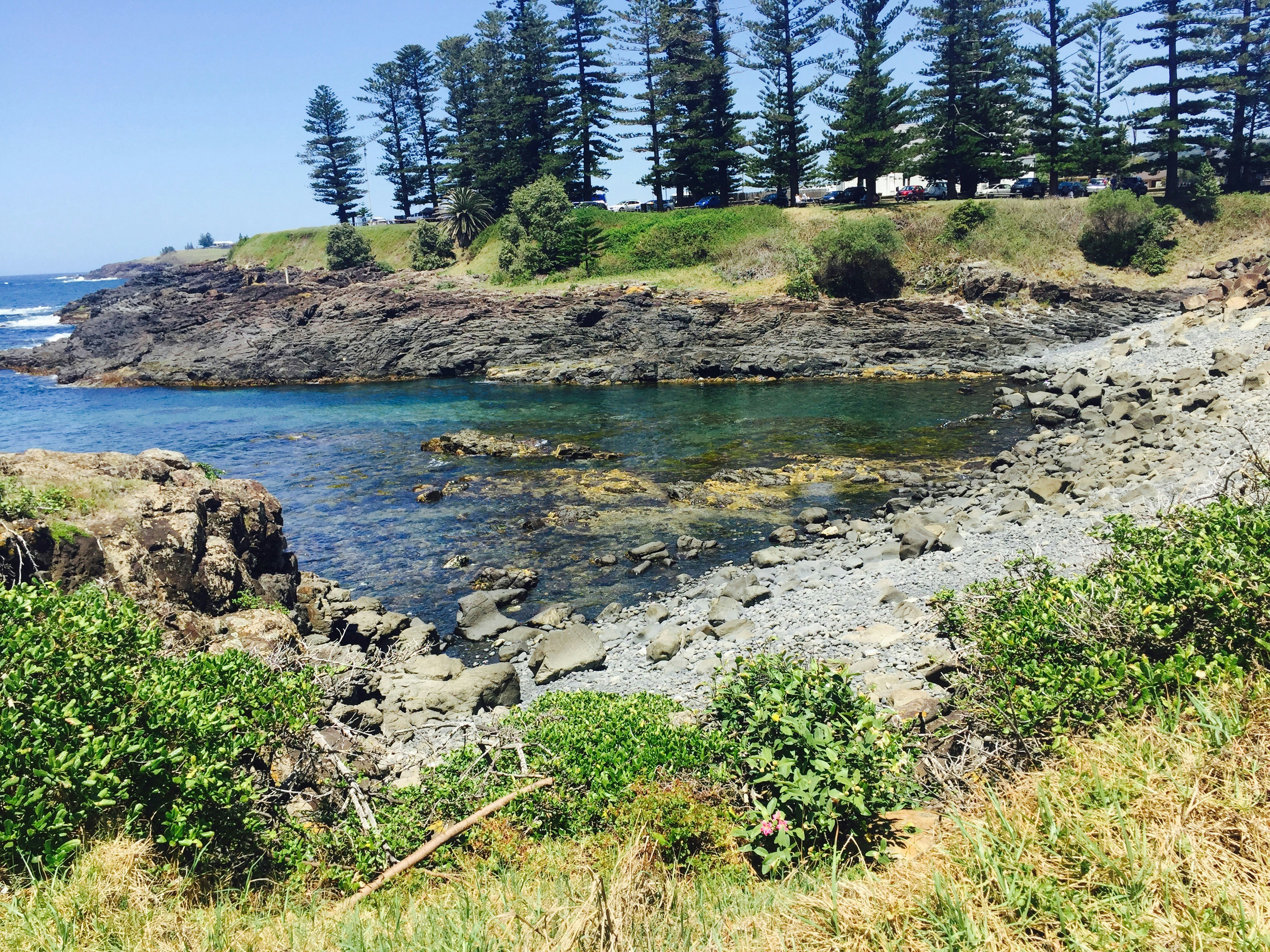 Free Unsplash photo from Aria H