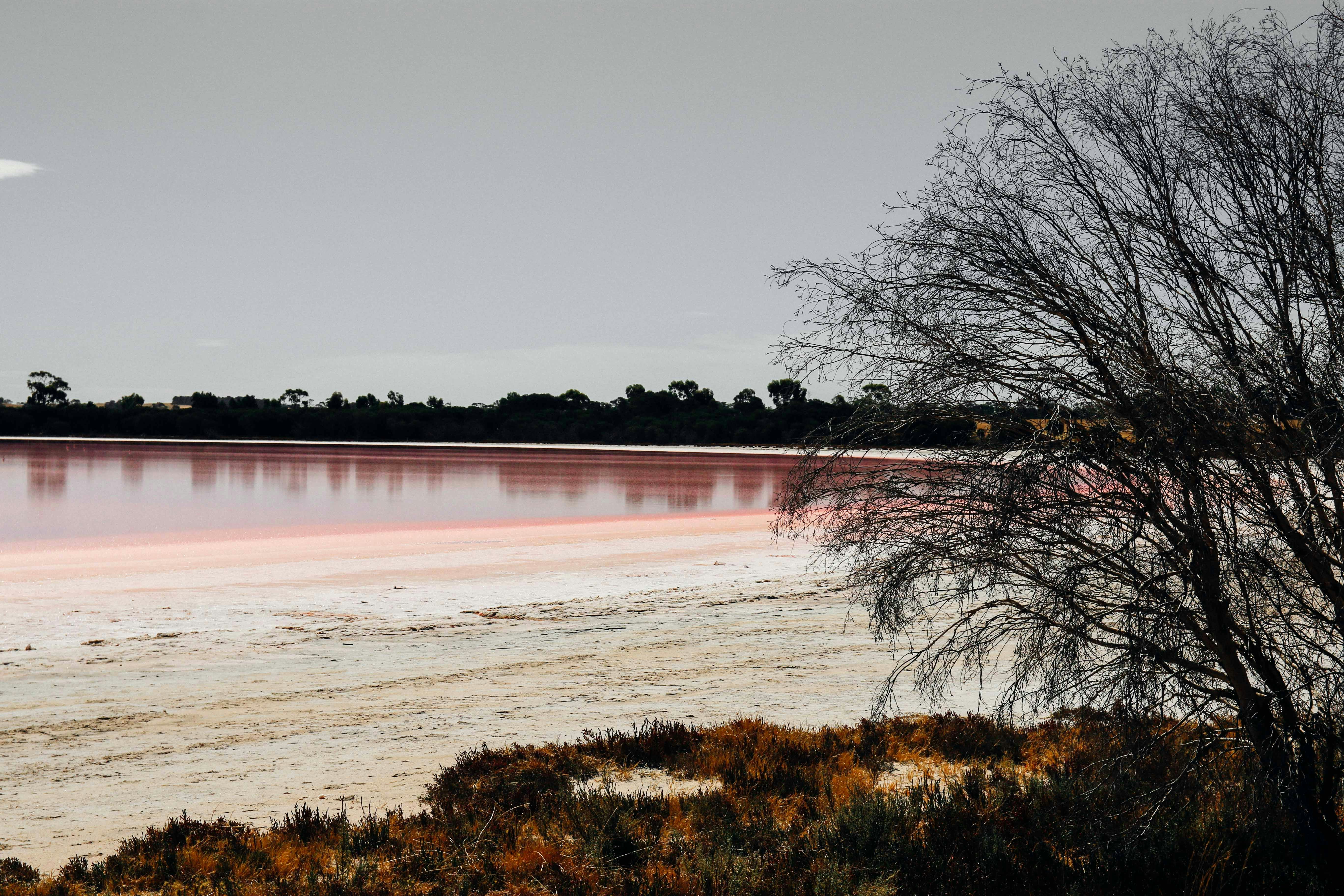 Free Unsplash photo from Christian Veloso