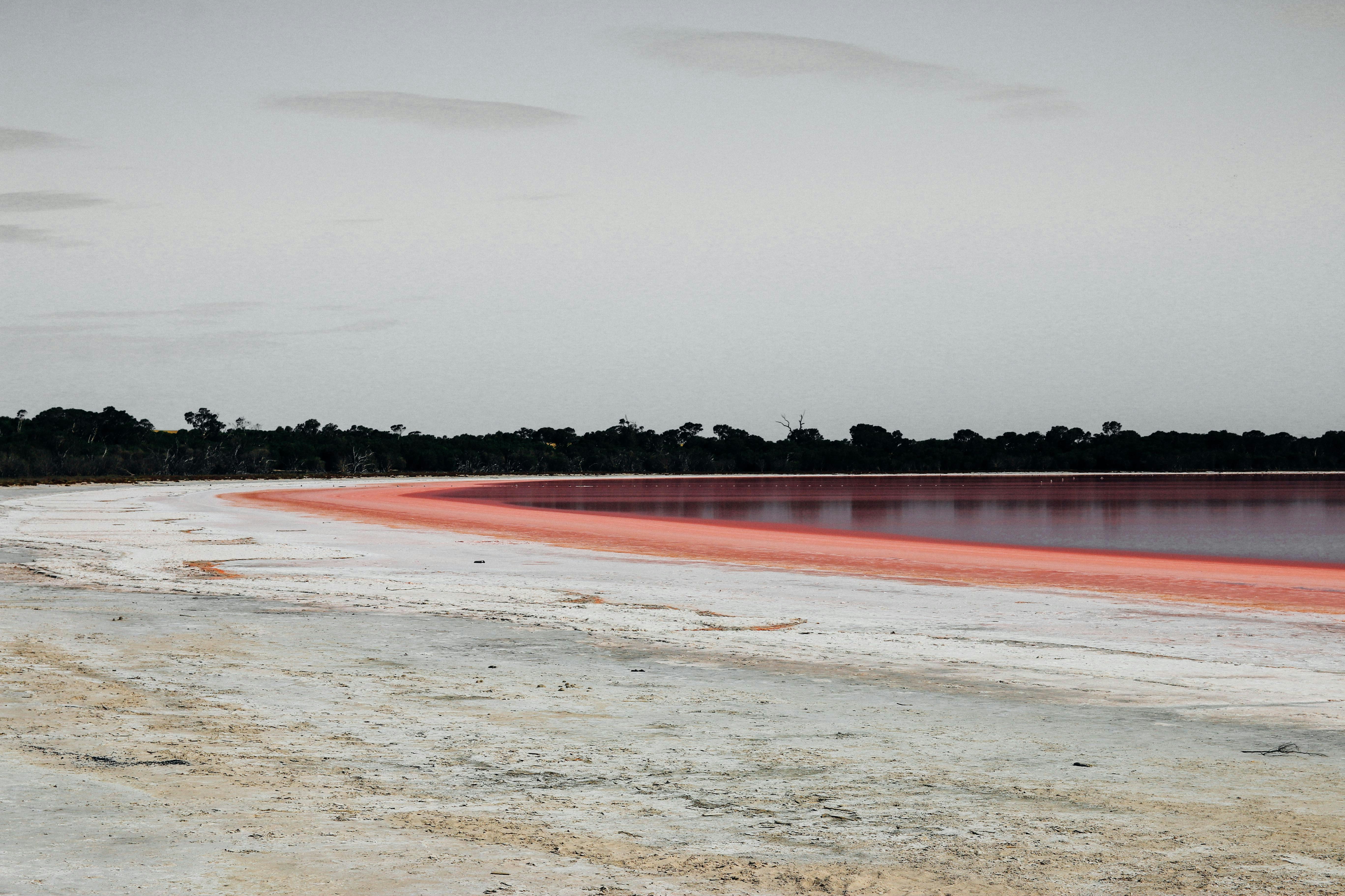 Free Unsplash photo from Christian Veloso