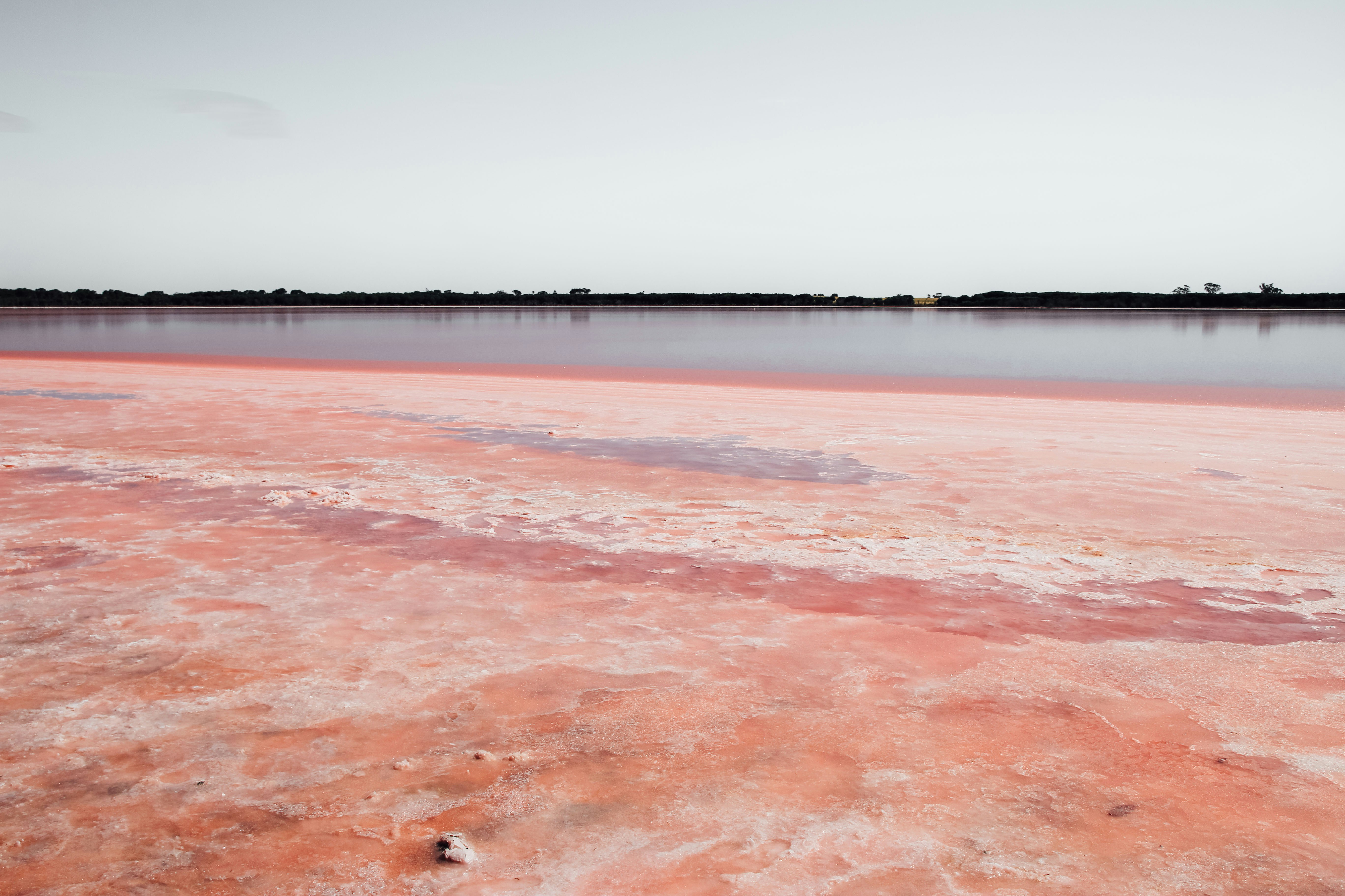 Free Unsplash photo from Christian Veloso