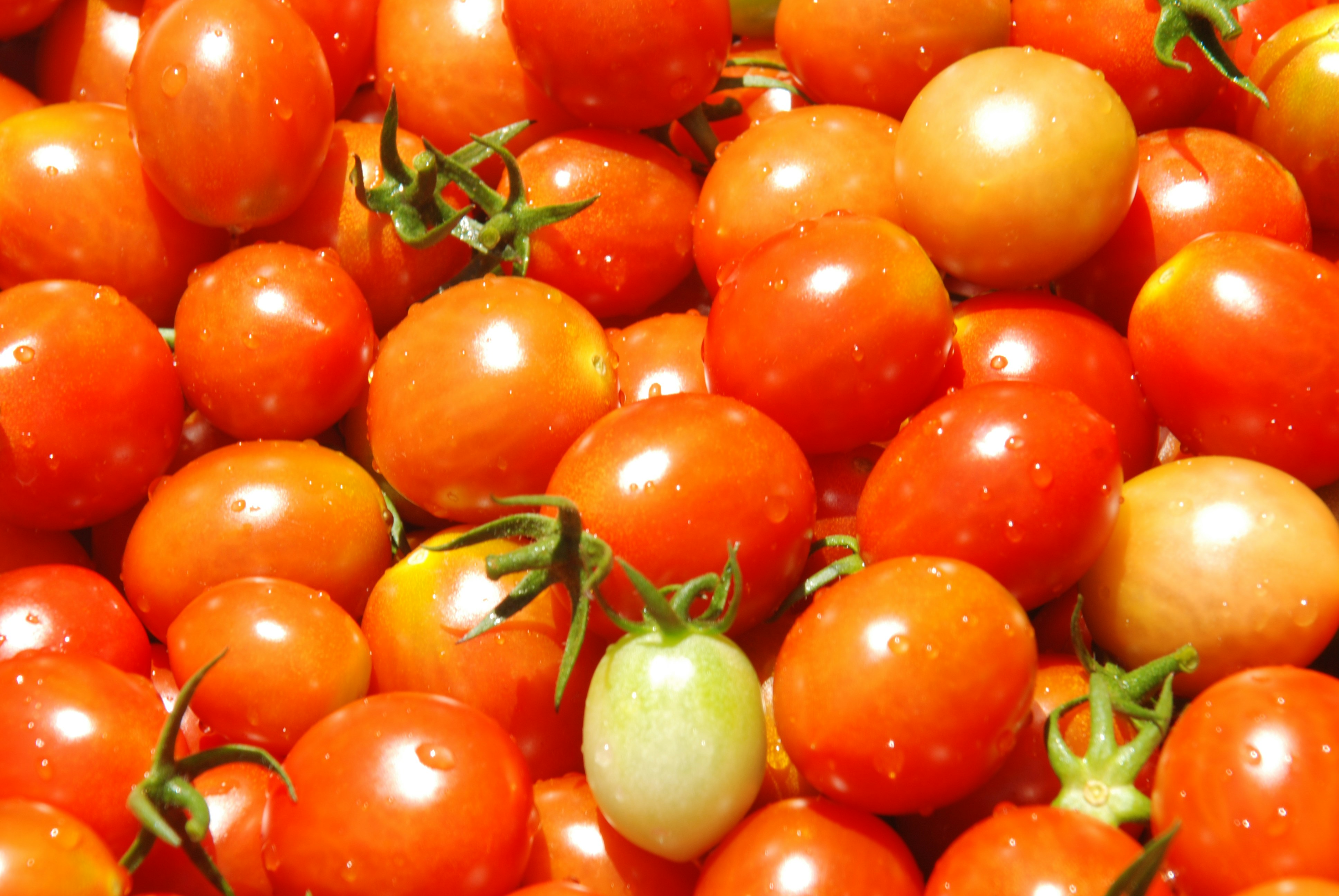 Free Unsplash photo from HyunKuk Kim