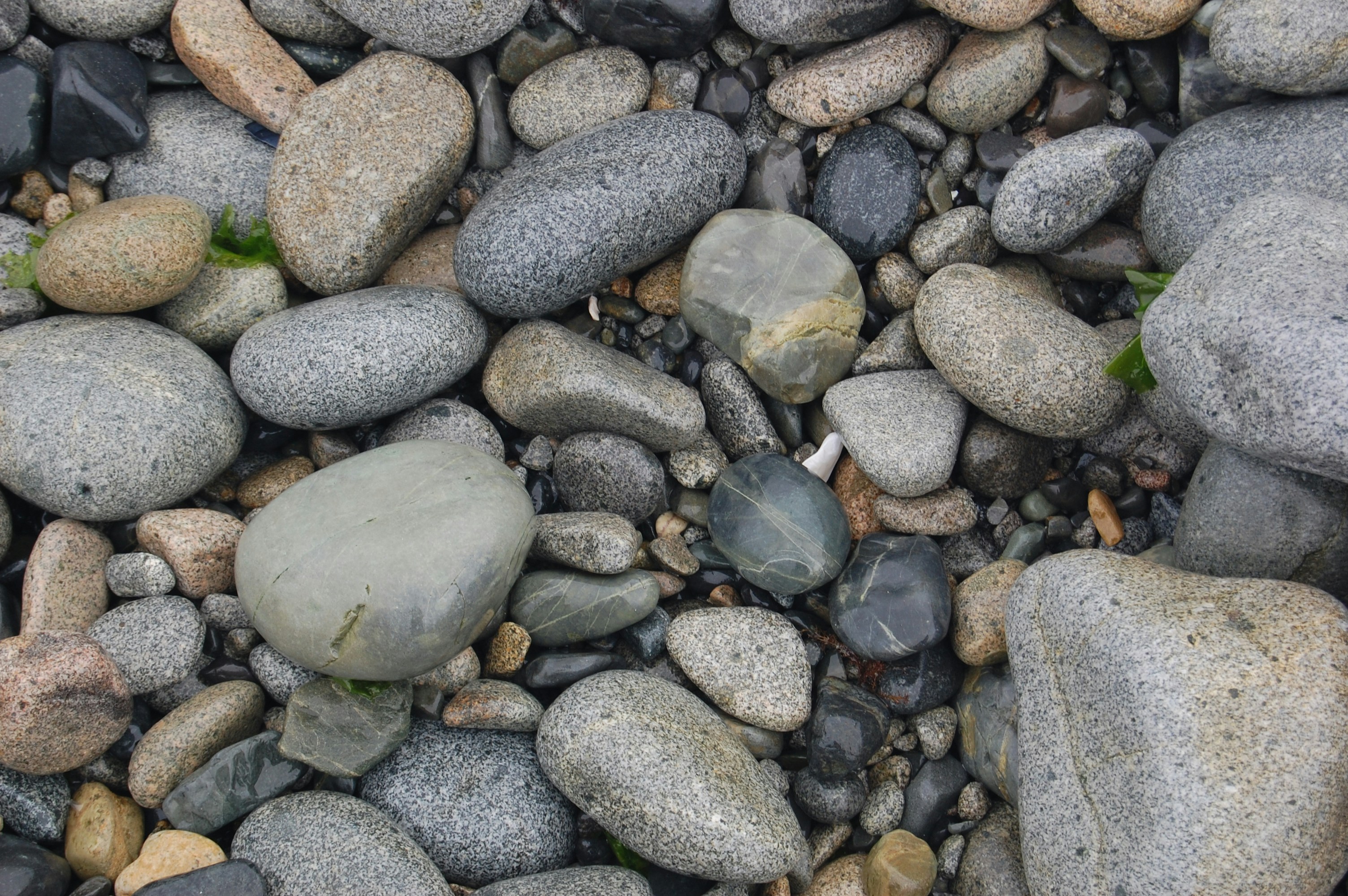 Free Unsplash photo from HyunKuk Kim