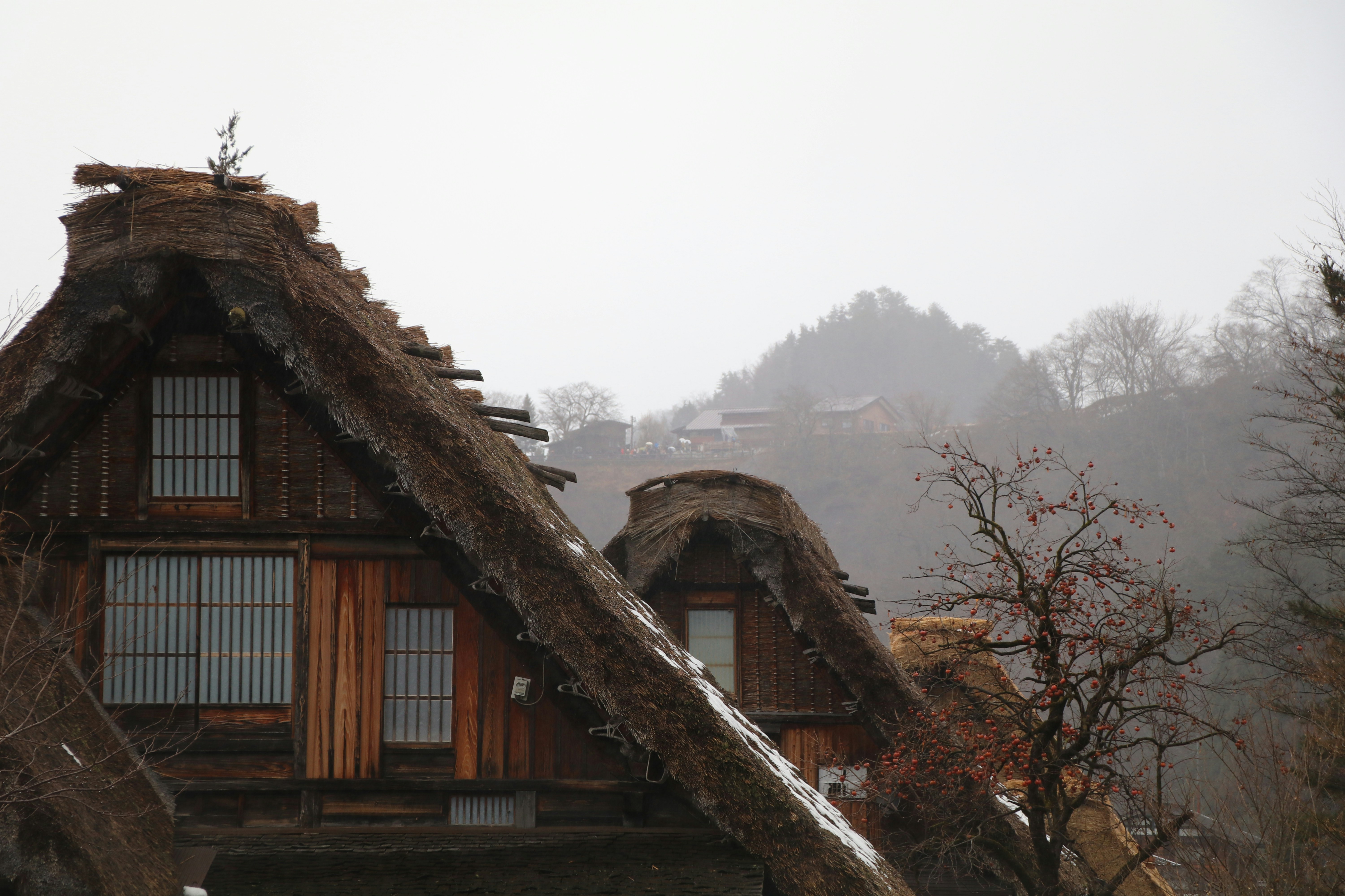 Free Unsplash photo from Tim Neal