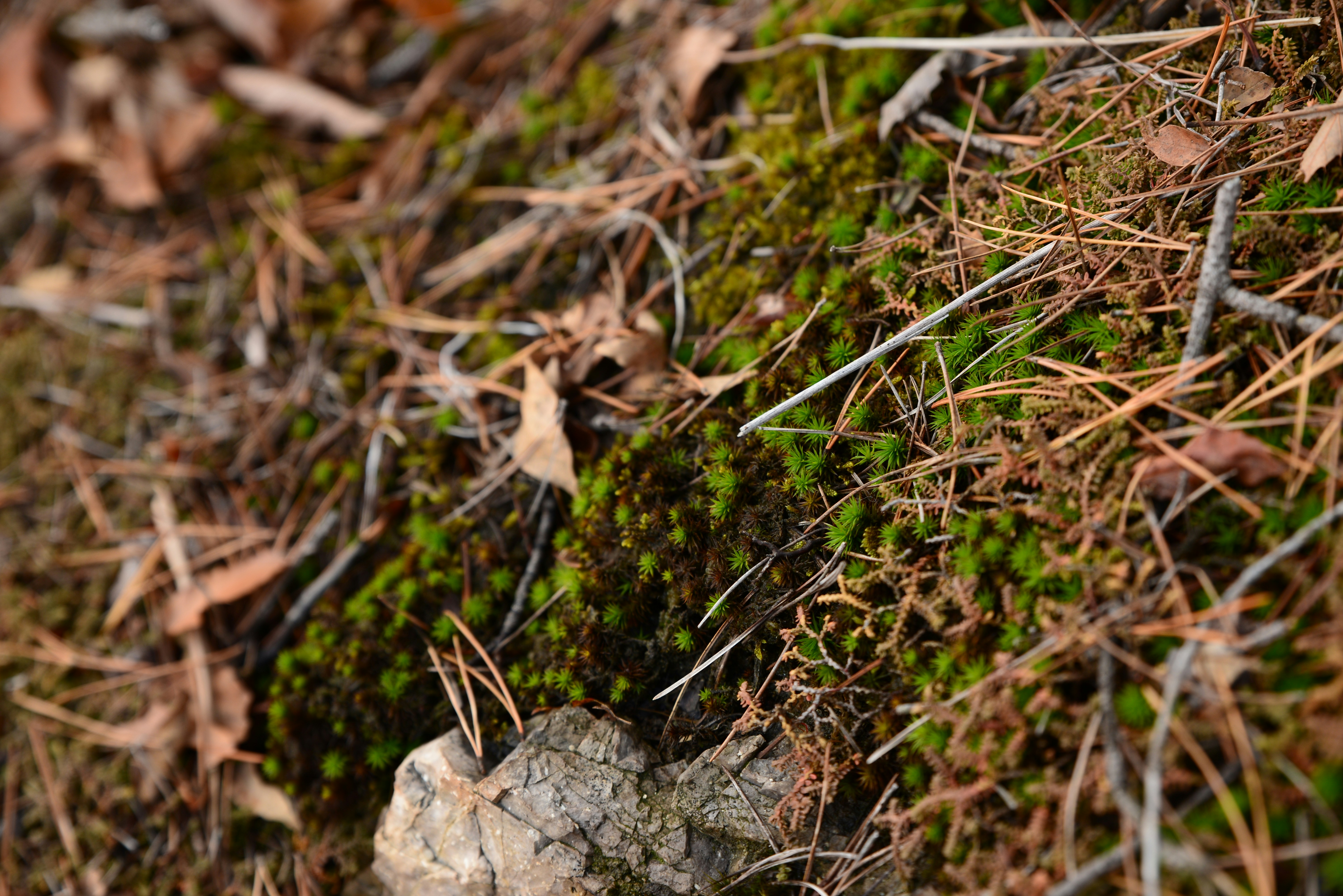 Free Unsplash photo from HyunKuk Kim