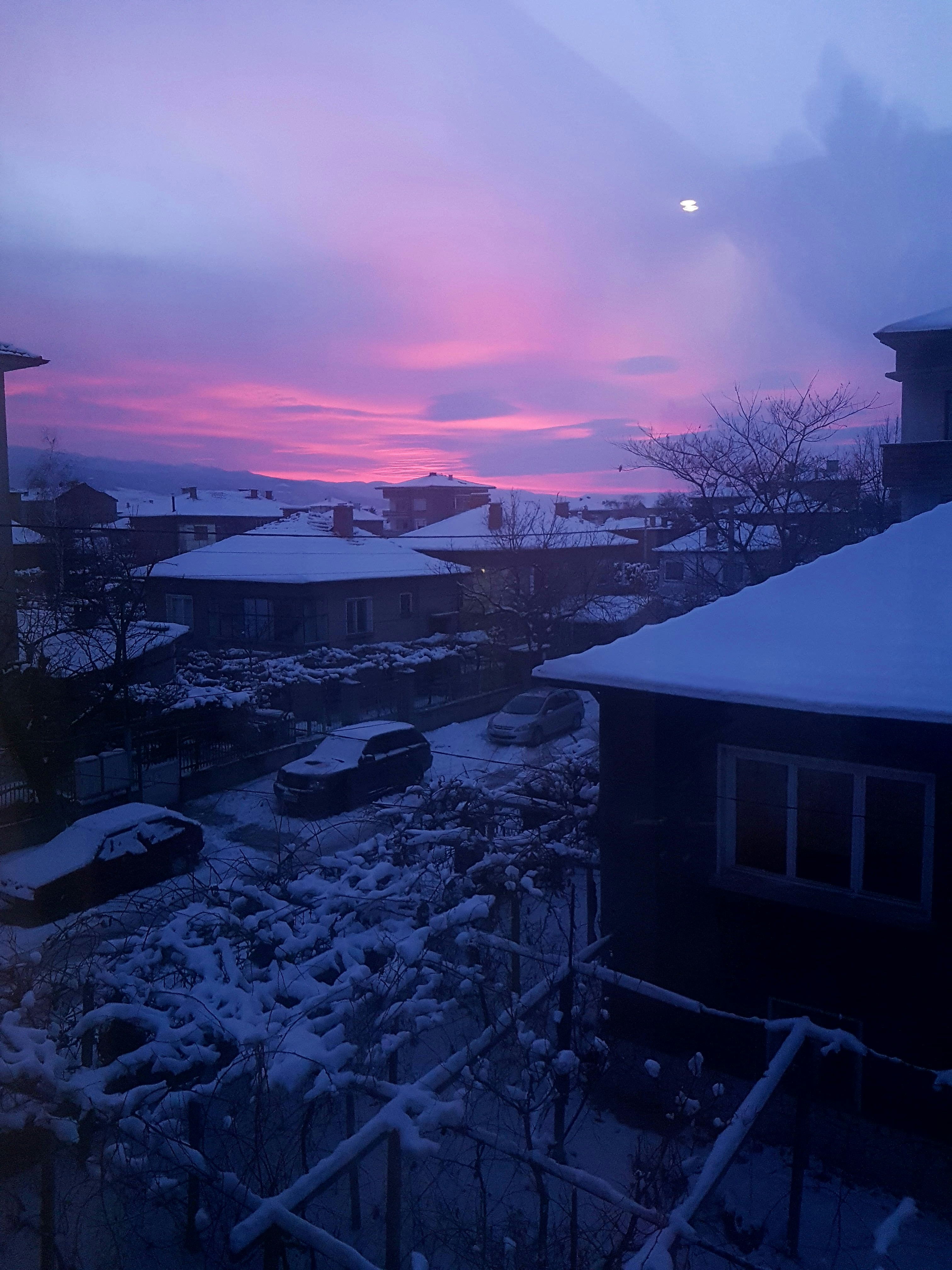 Free Unsplash photo from N O