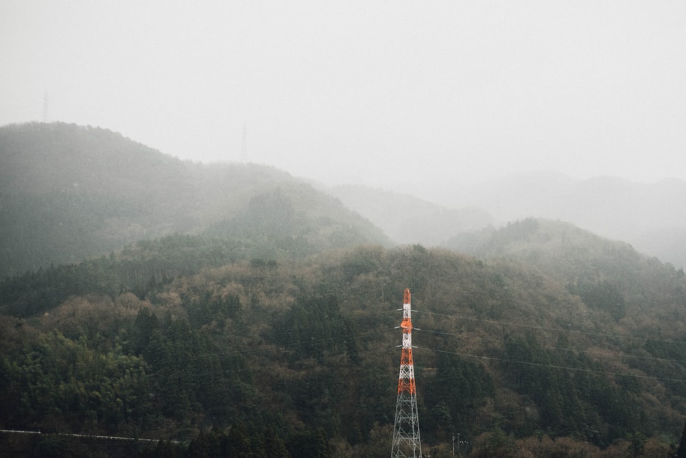 aerial photo of transmission post beside forest