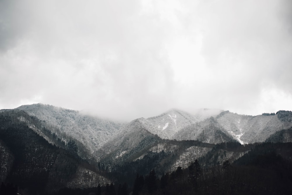 Photo en niveaux de gris de la montagne de jour