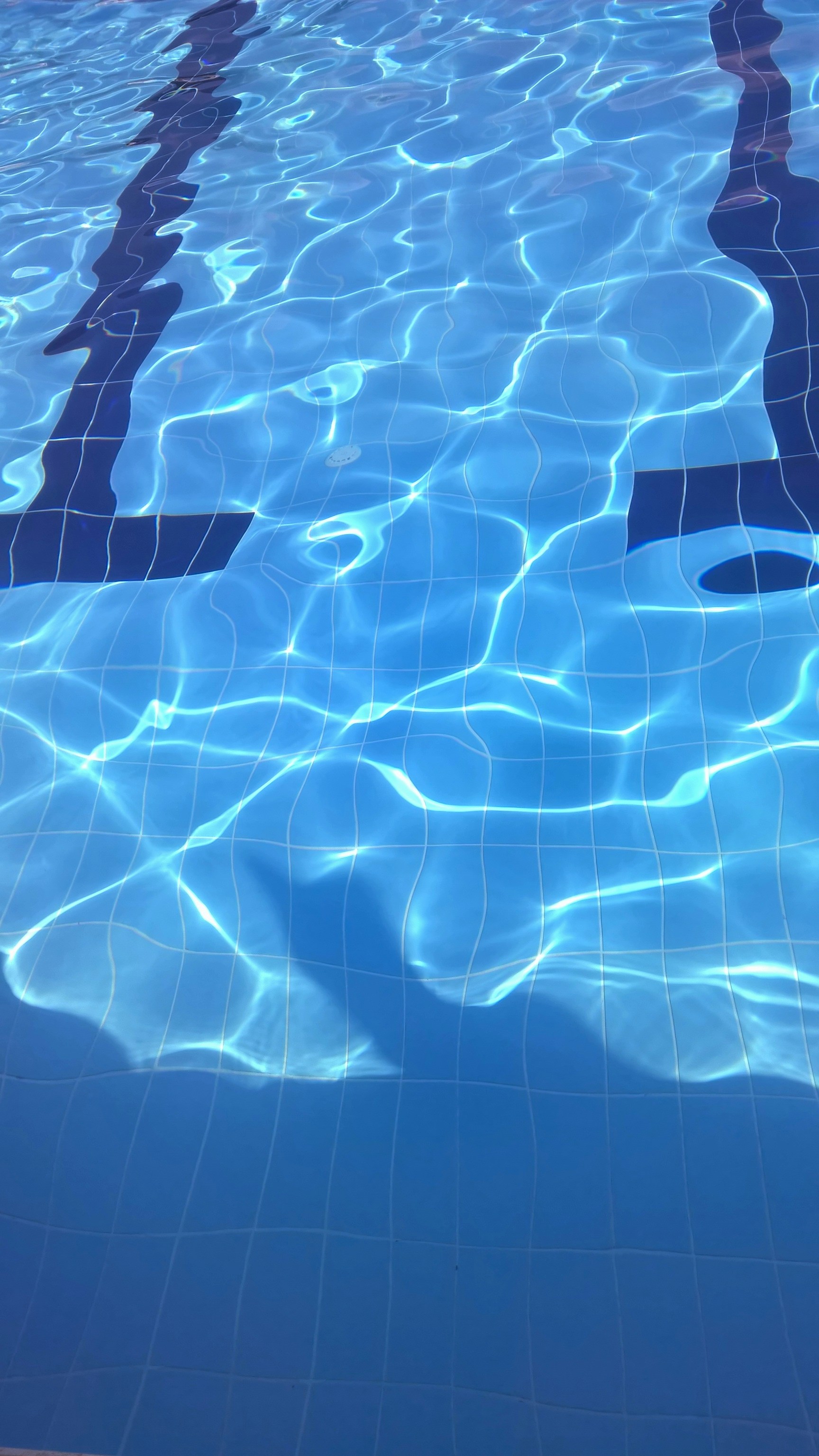 Free Unsplash photo from Ardit Z