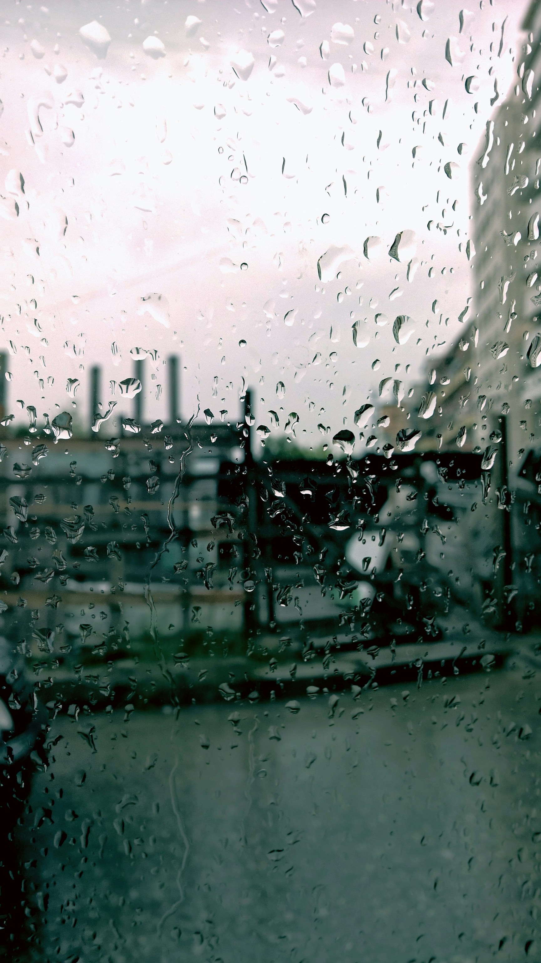 Free Unsplash photo from Ardit Z